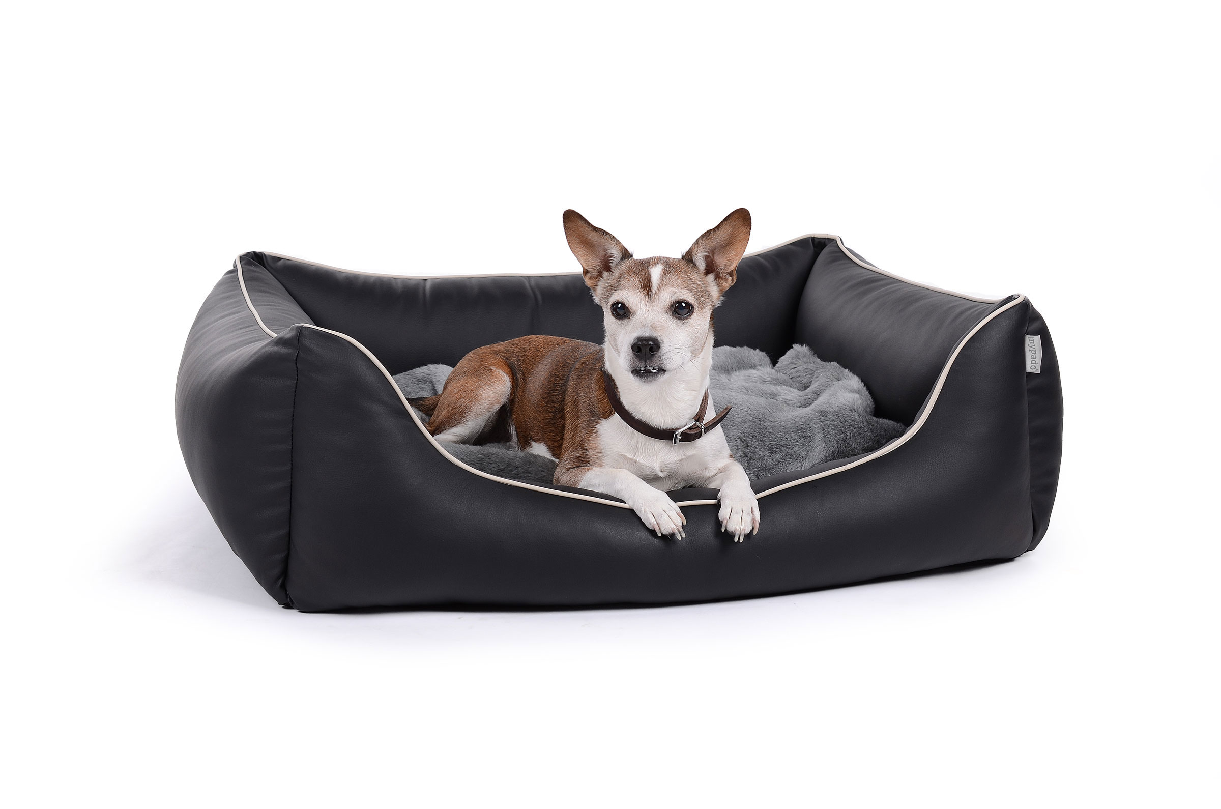 mypado World Faux Leather Dog Bed