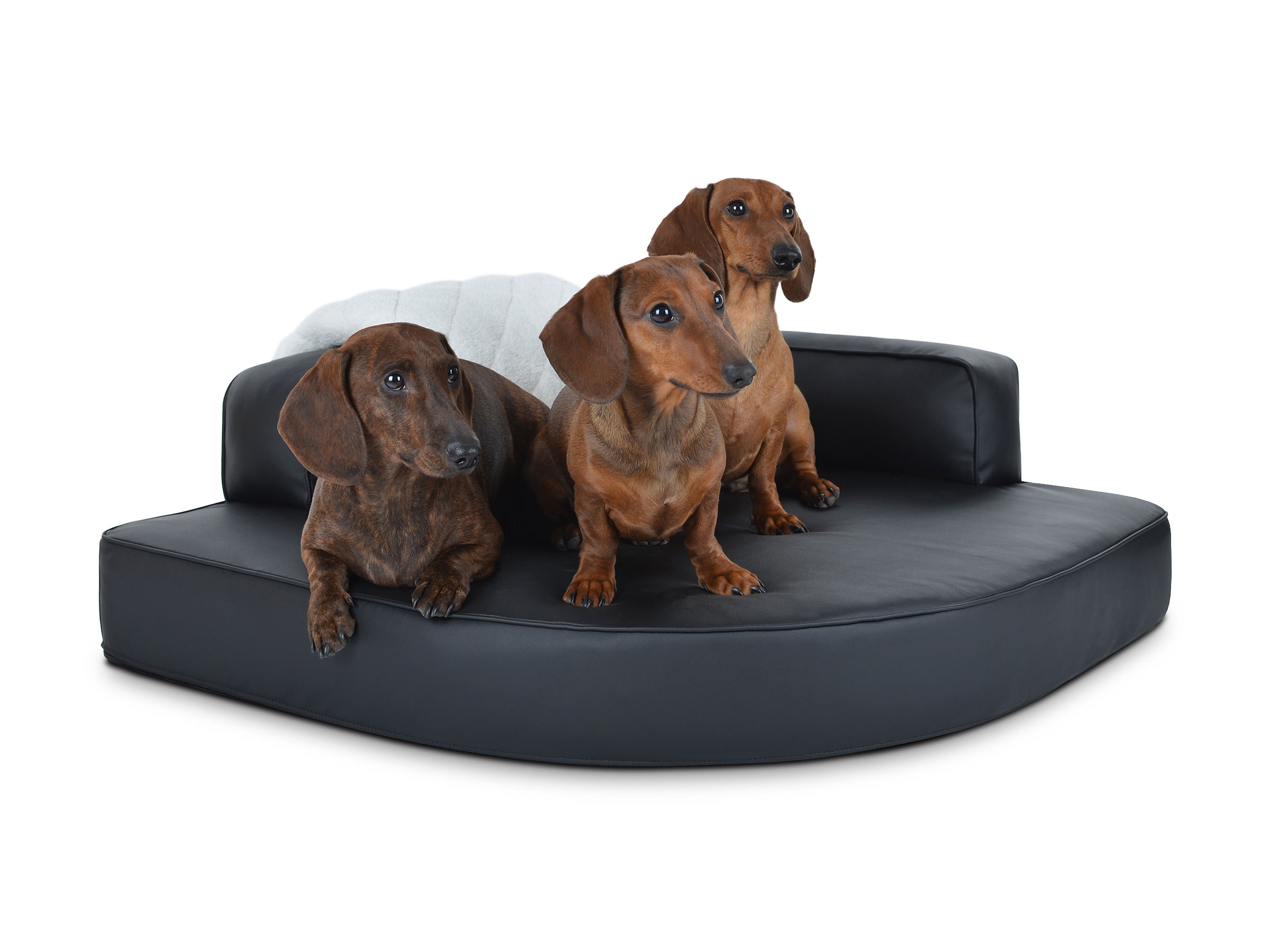 mypado Esquina Kunstleder Hundebett