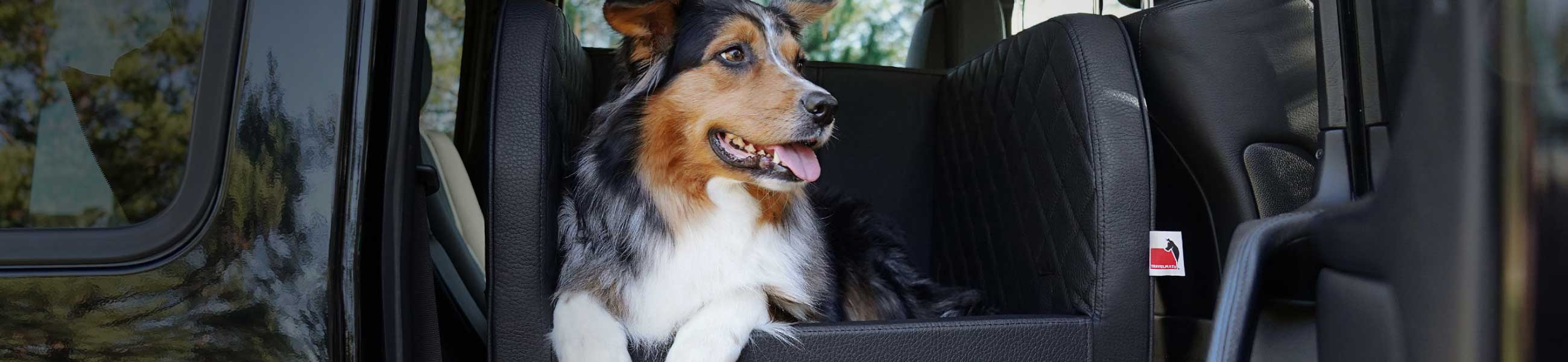 mpd_header_design_f24