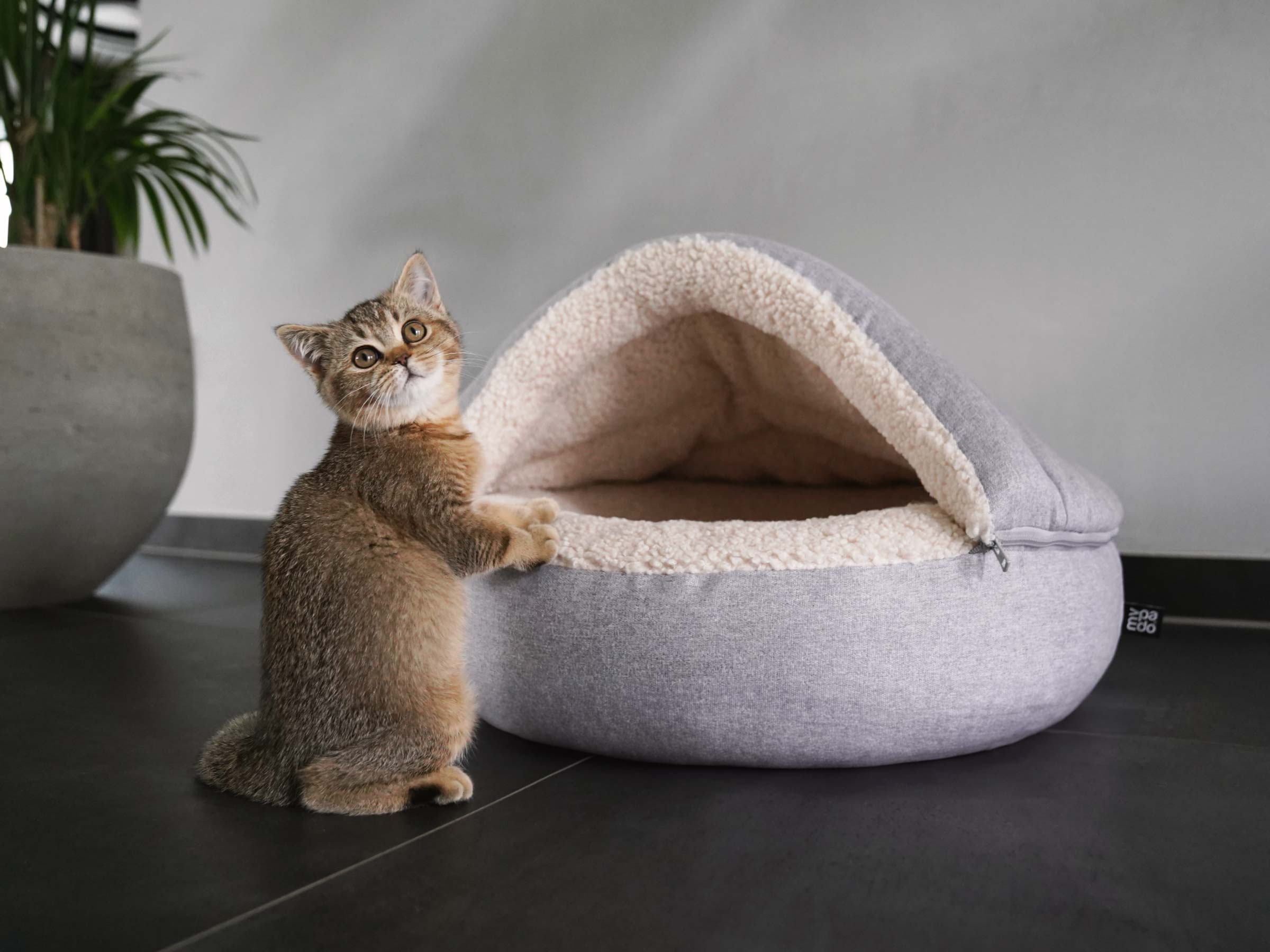 mypado Shell Silver Cat Cave