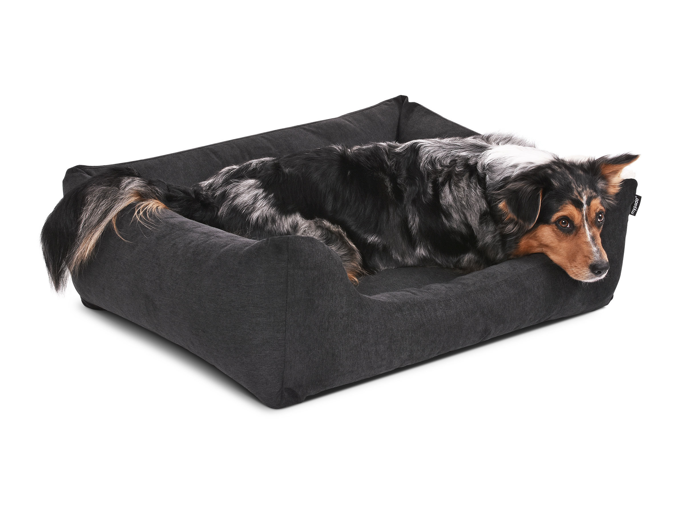 mypado World Comfort Dog Bed