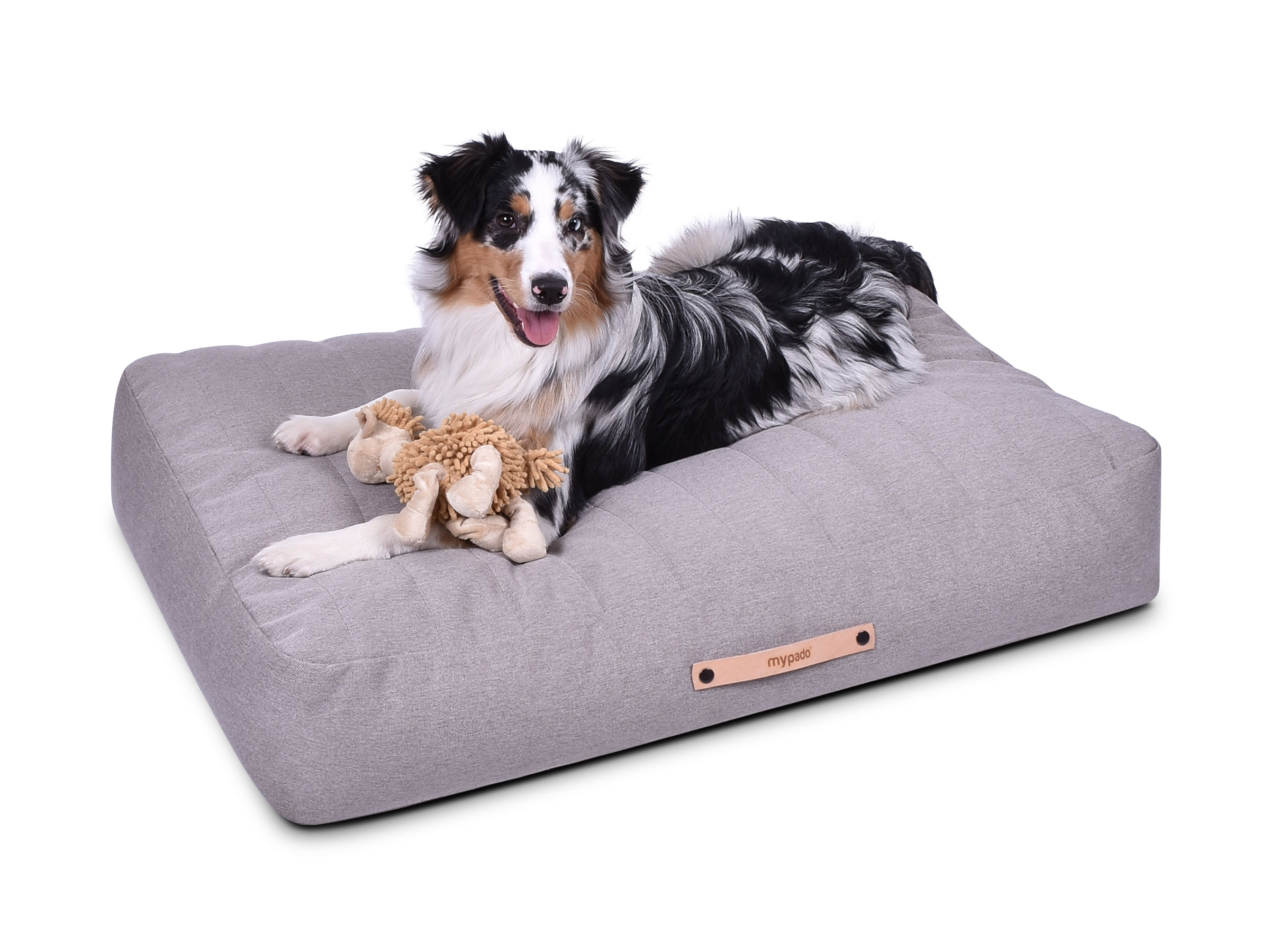 mypado Stockholm Mono Hundekissen