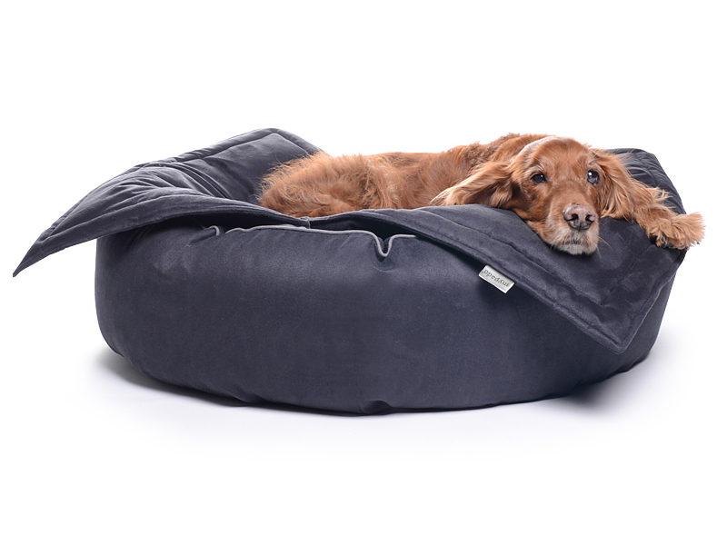 mypado K-Nax MF Hundebett