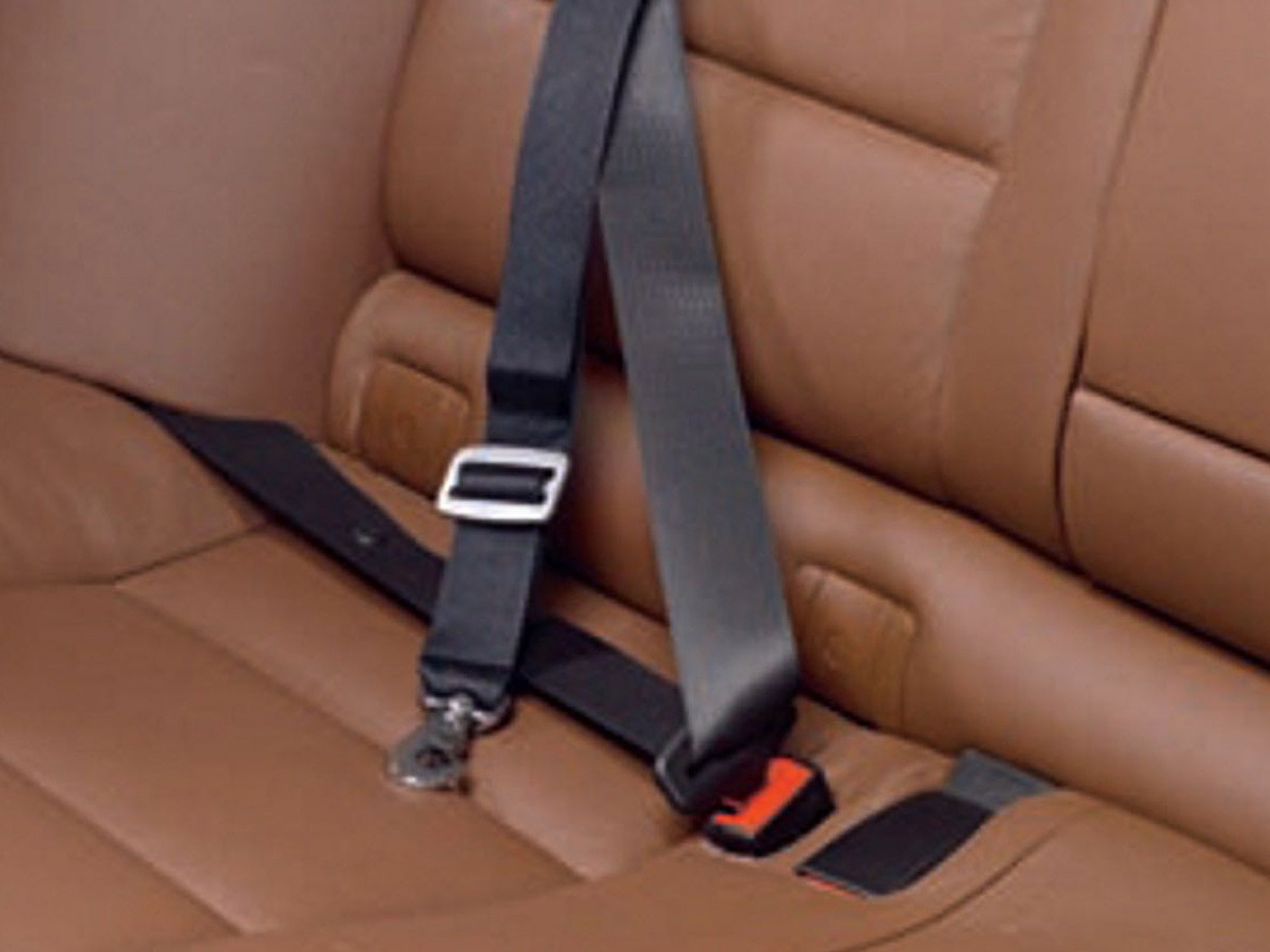 Allsafe Hundesicherheitsgurt