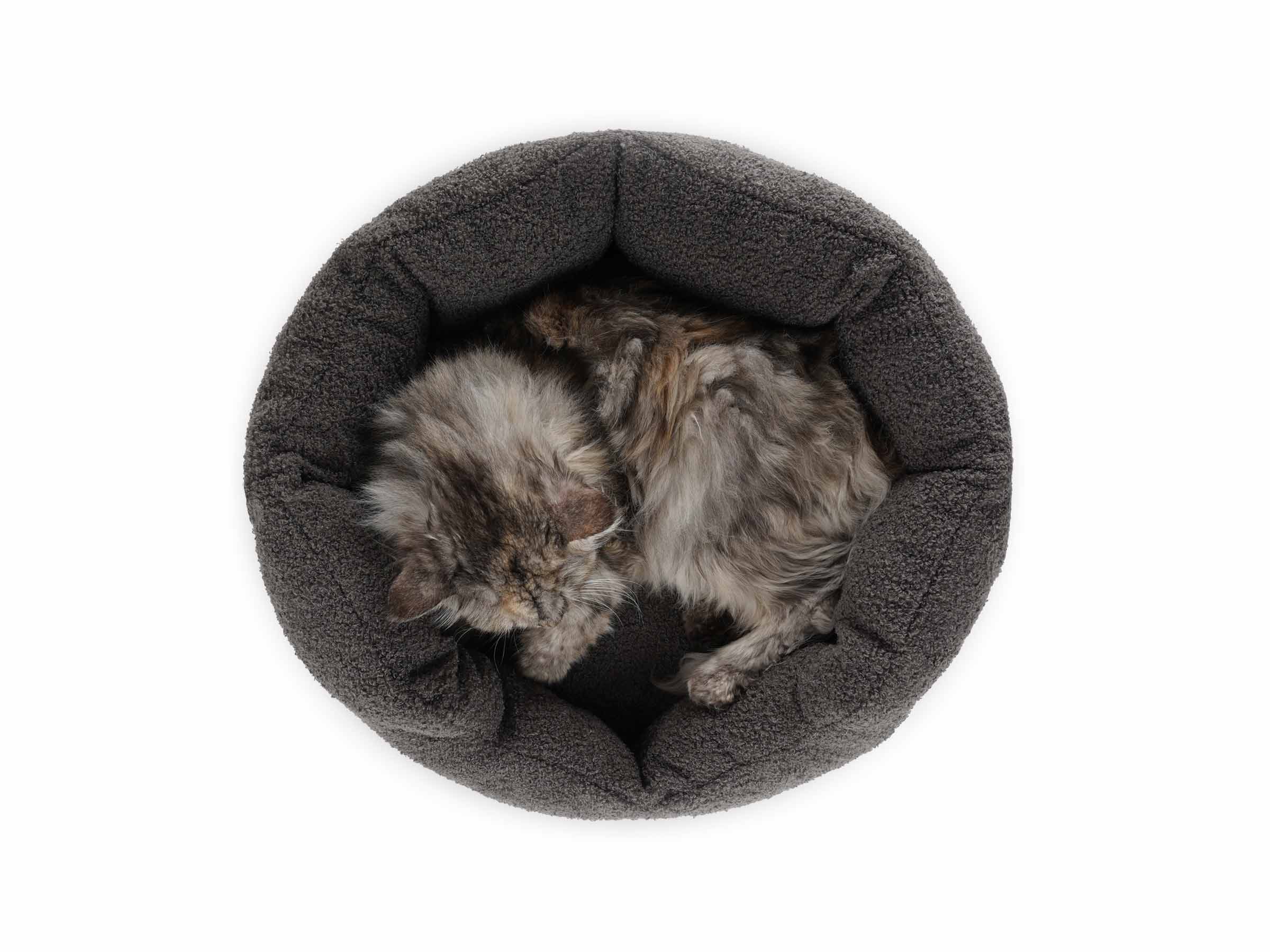 mypado Camino Teddy Katzenbett