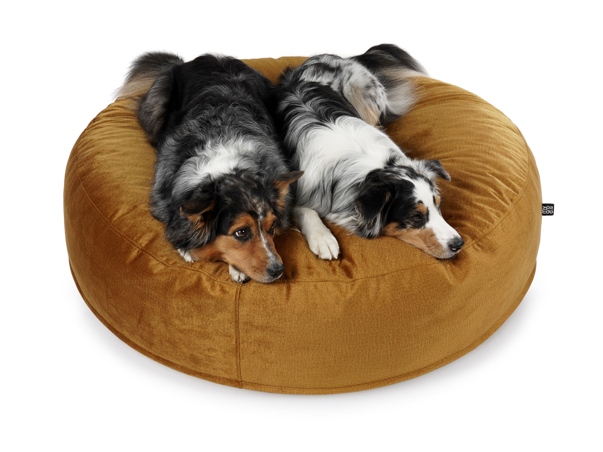Replacement cover for mypado Mio Velvet Dog Cushion