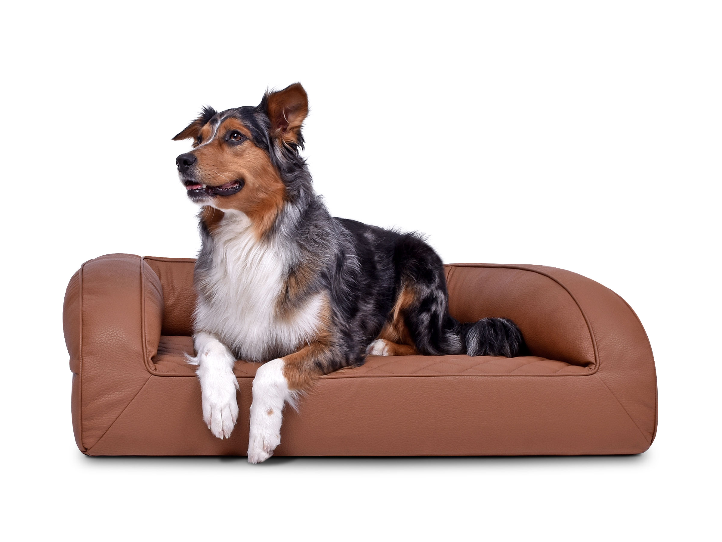mypado Flo Kunstleder-Premium gesteppt Hundebett