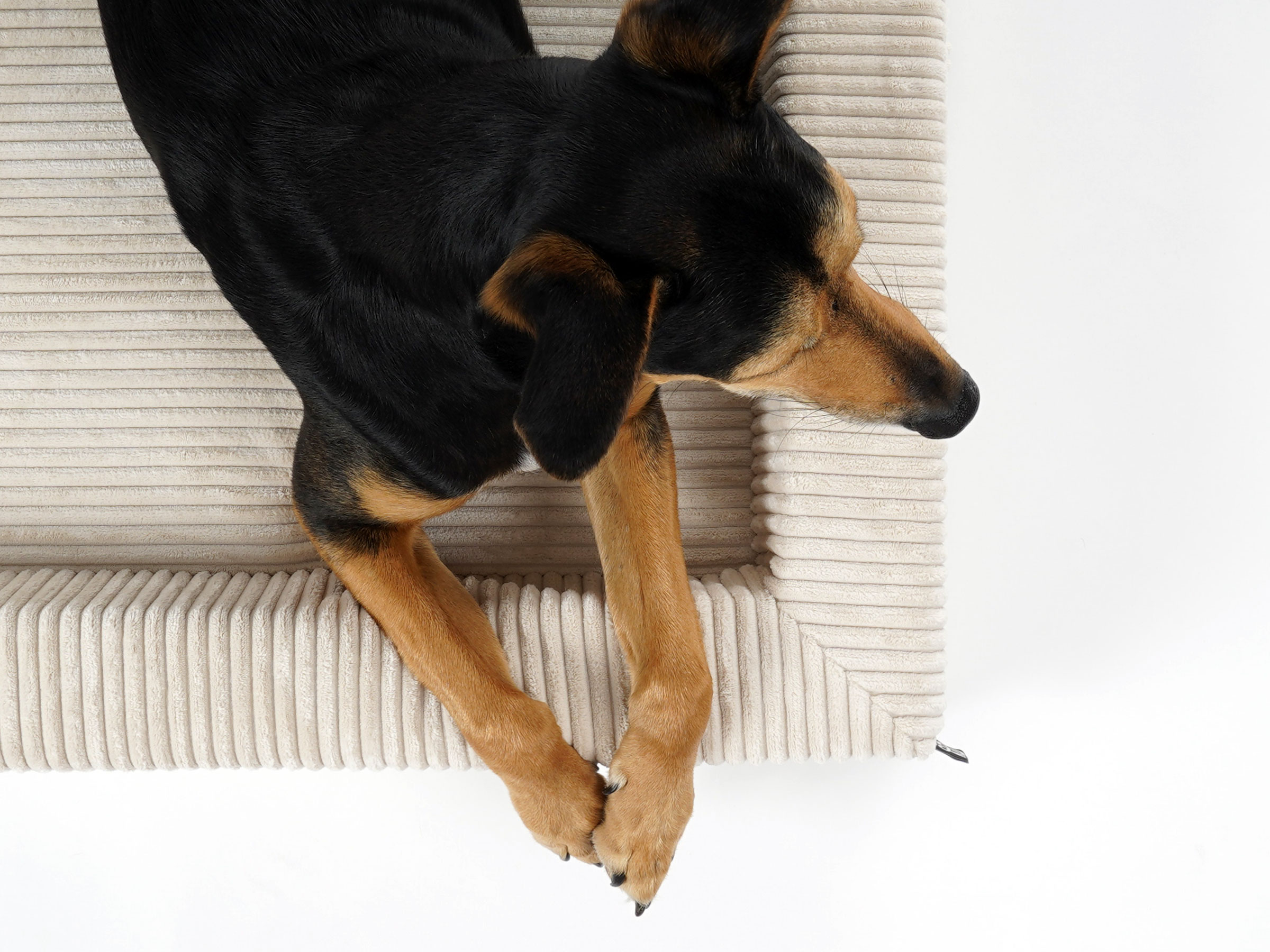 mypado Harko Cord Hundebett