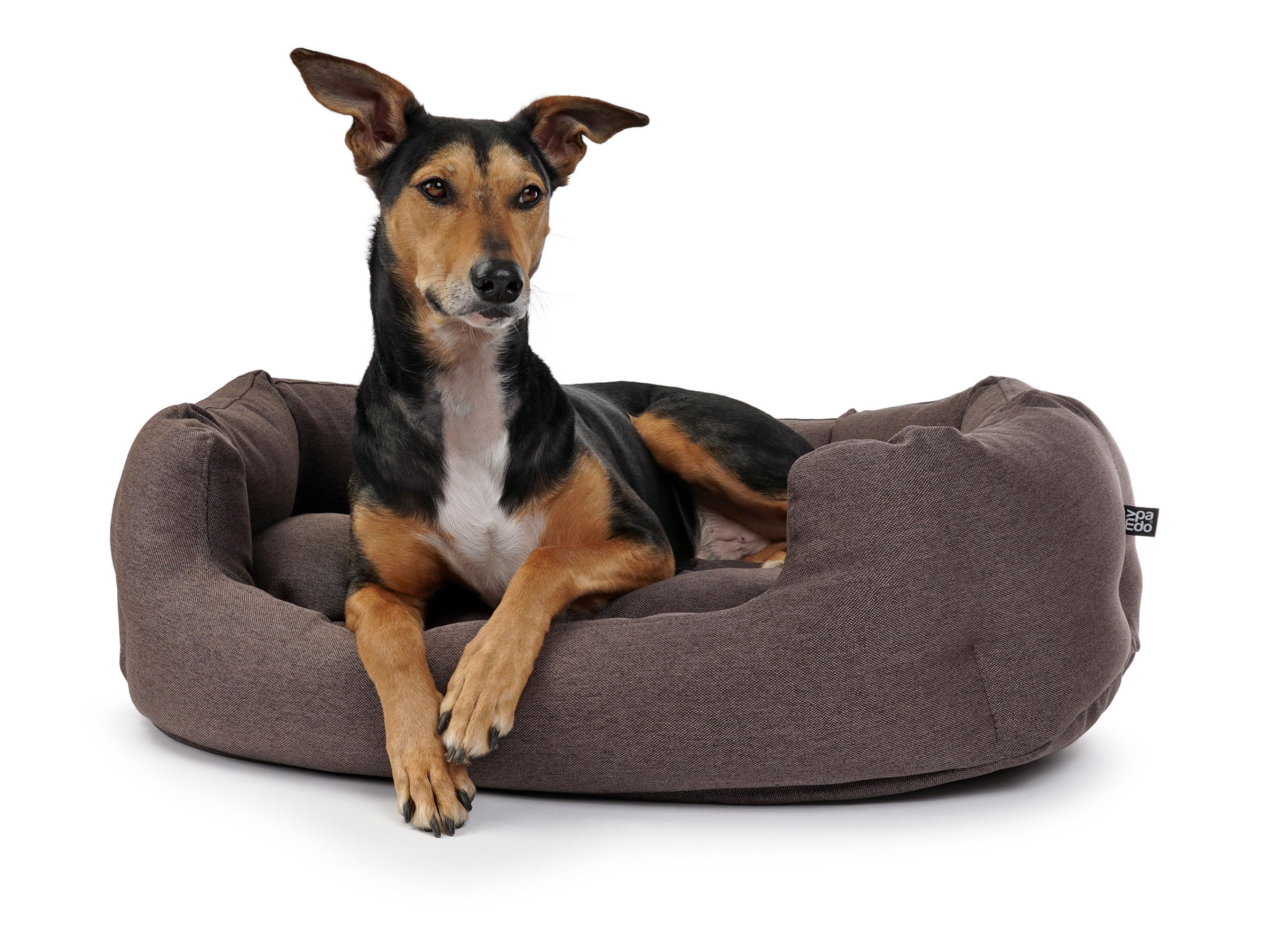 mypado Fancy Mono Hundebett