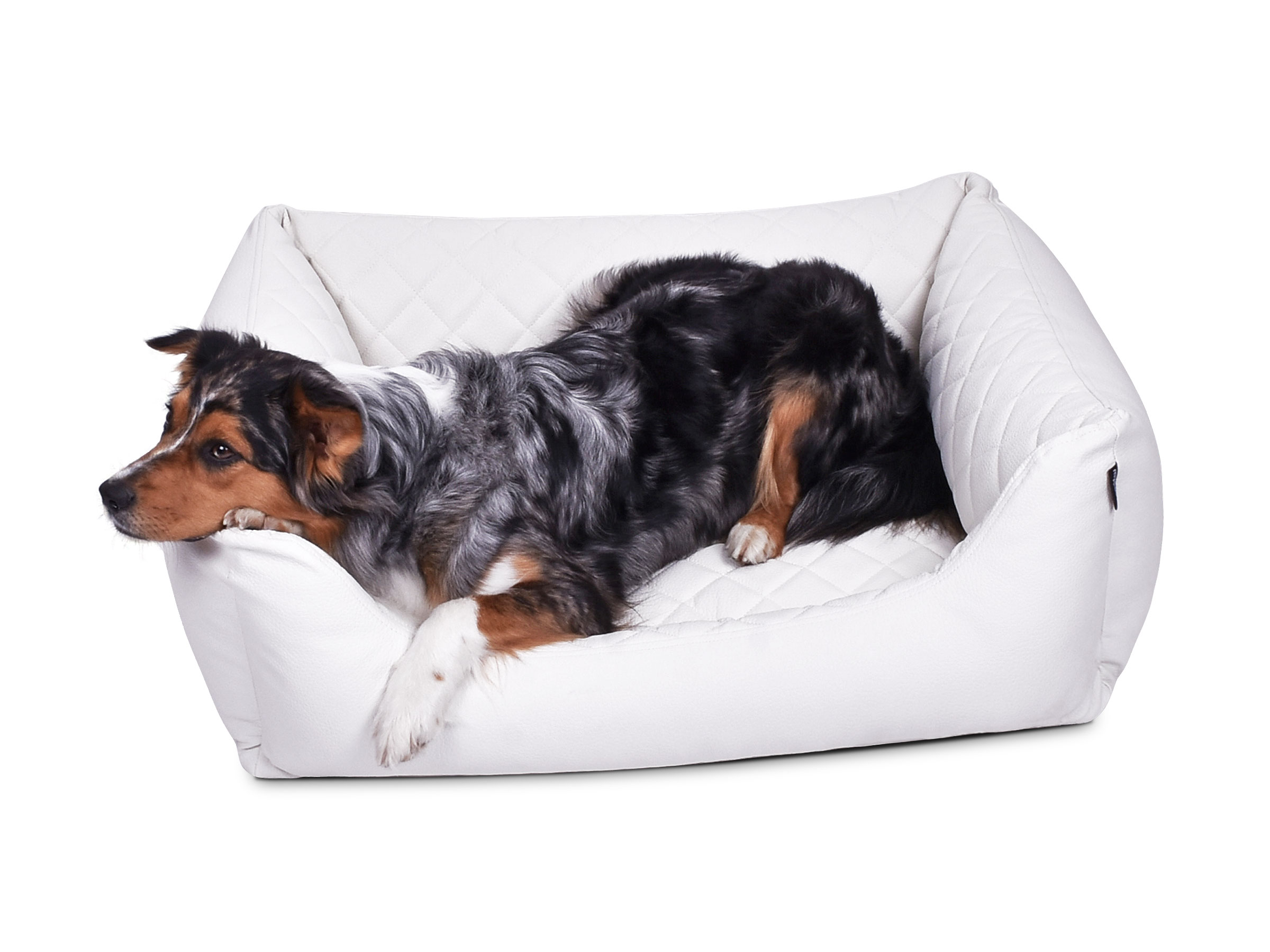 mypado World Faux Leather Premium Quilted Dog Bed