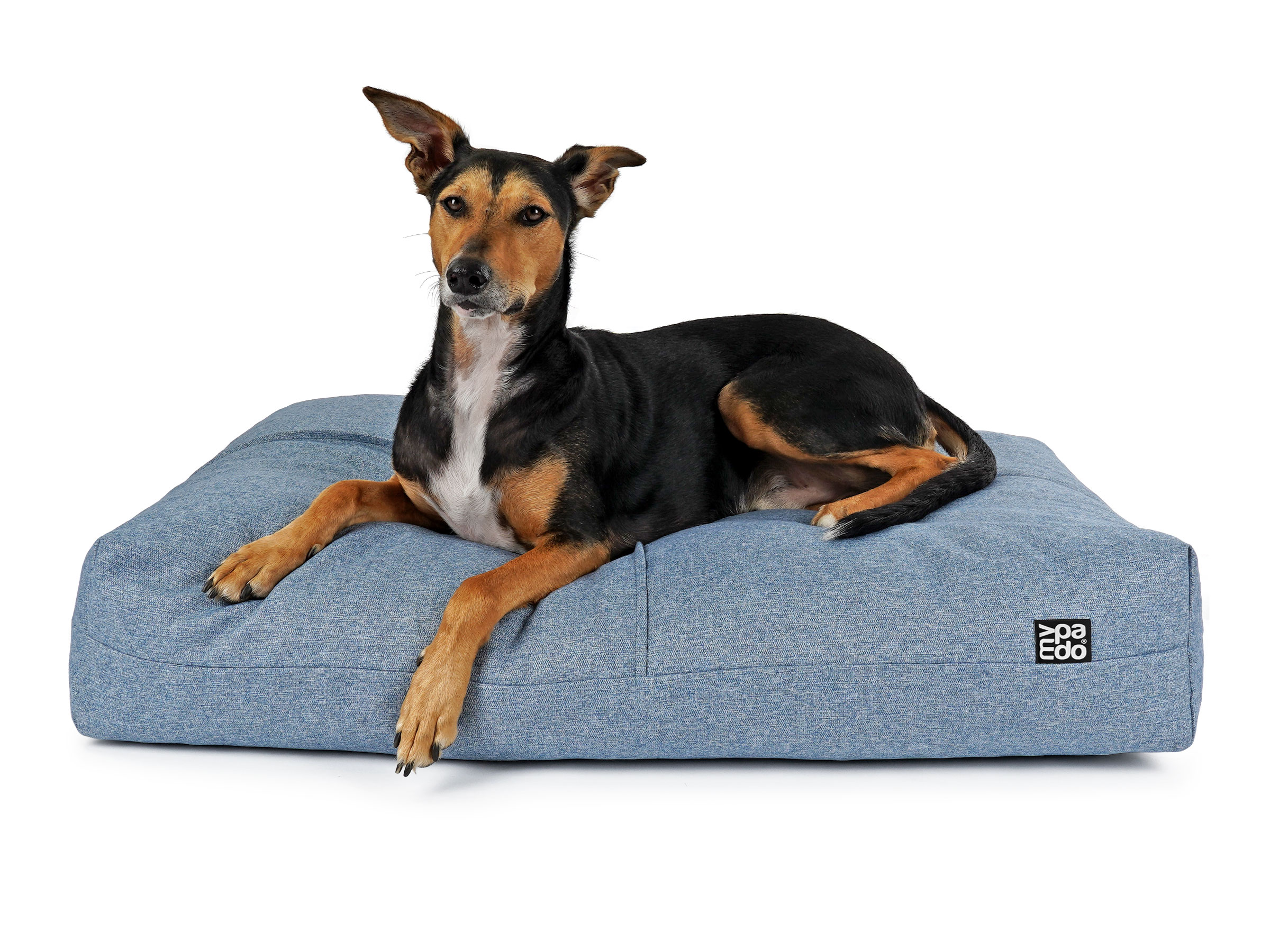 mypado Twiddle SLII Dog Cushion Quilted