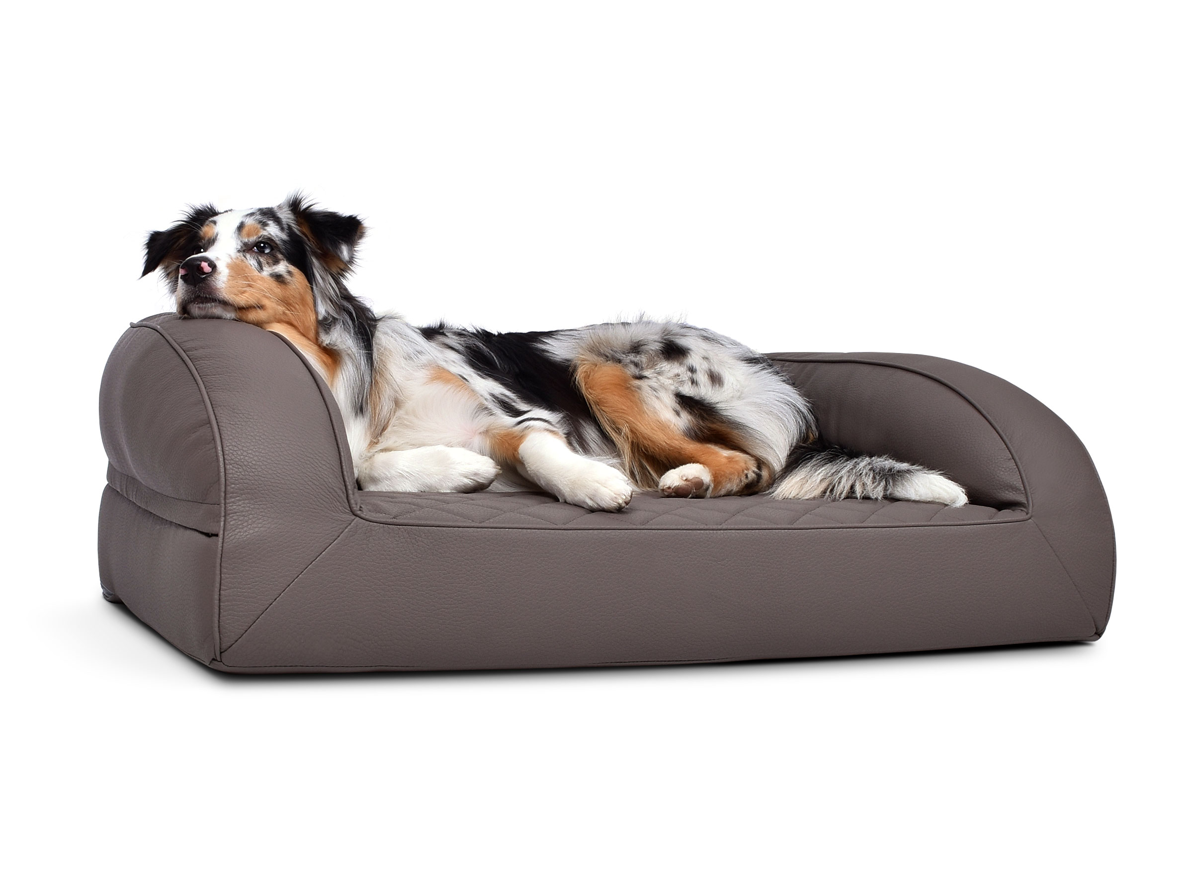 mypado Flo Kunstleder-Premium gesteppt Hundebett