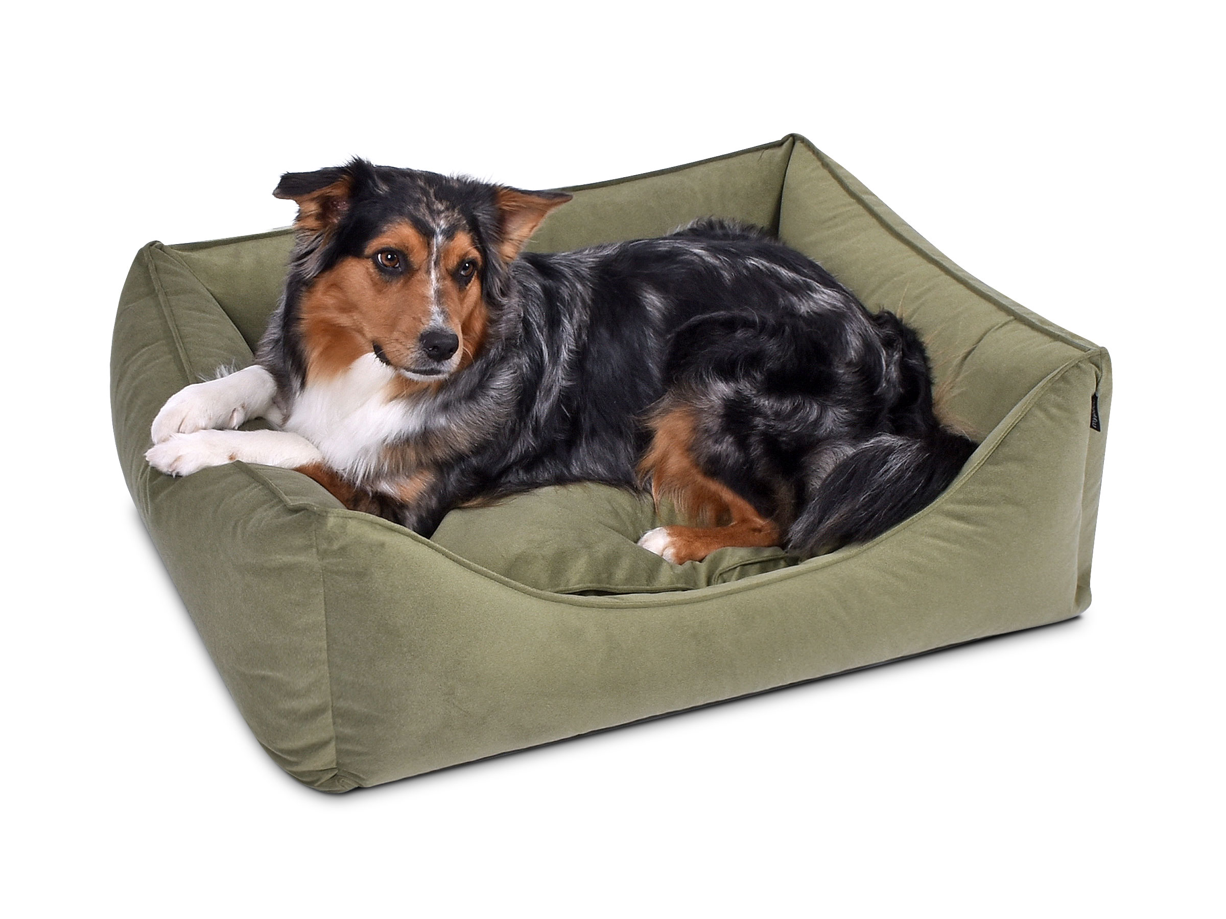 mypado Dreamer MF Hundebett