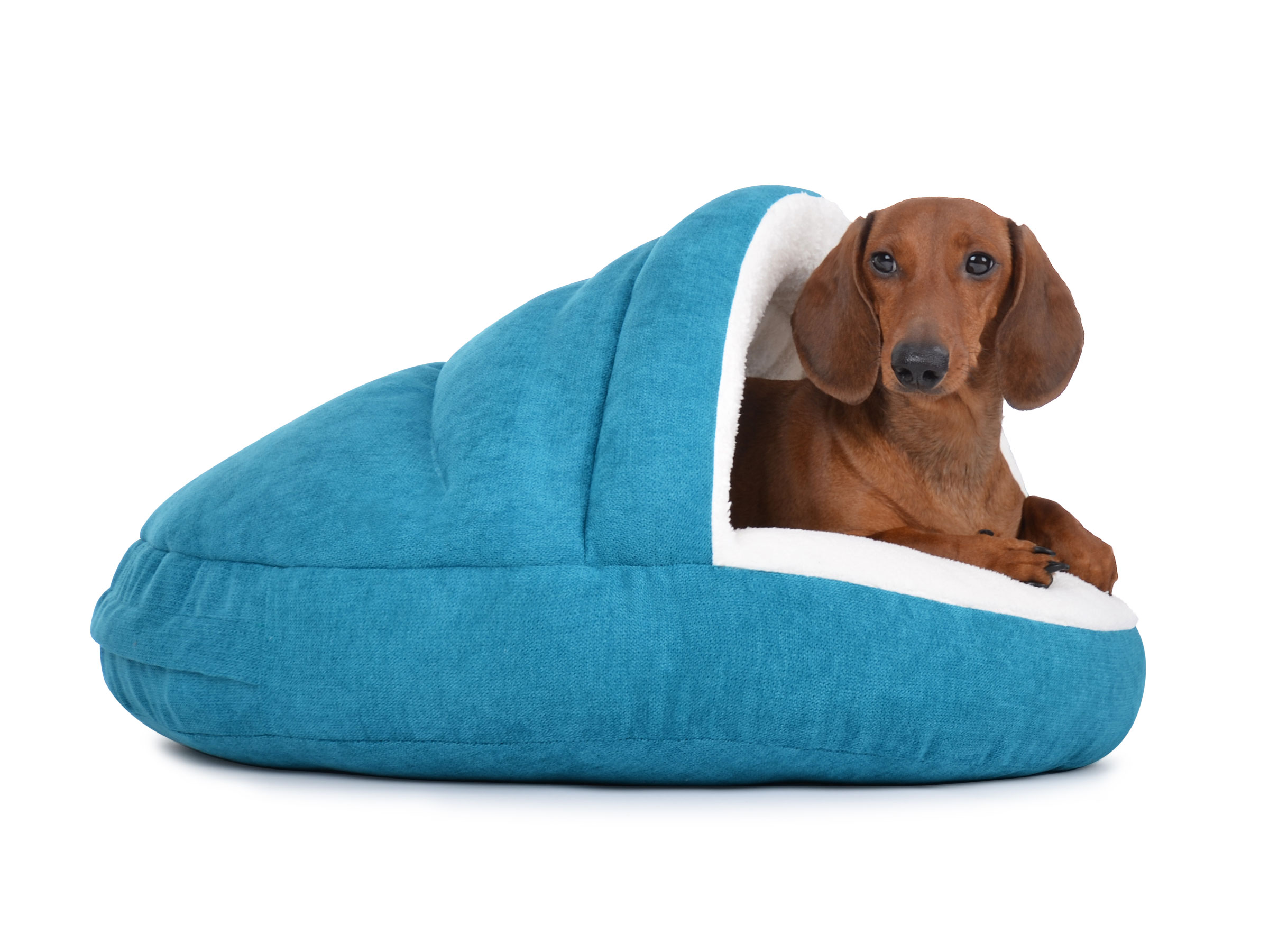 mypado Shell Comfort Hundehöhle