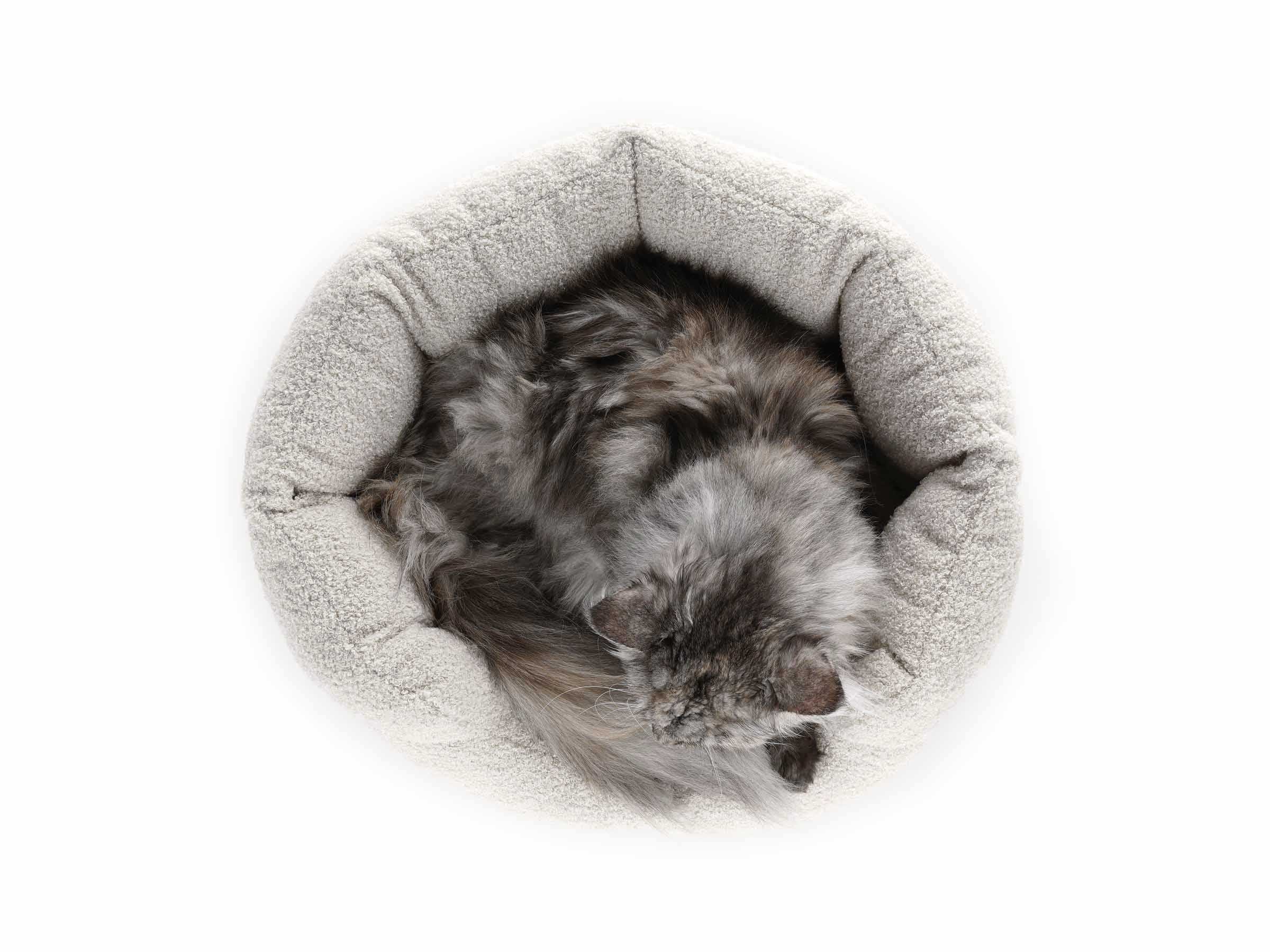 mypado Camino Teddy Cat Bed