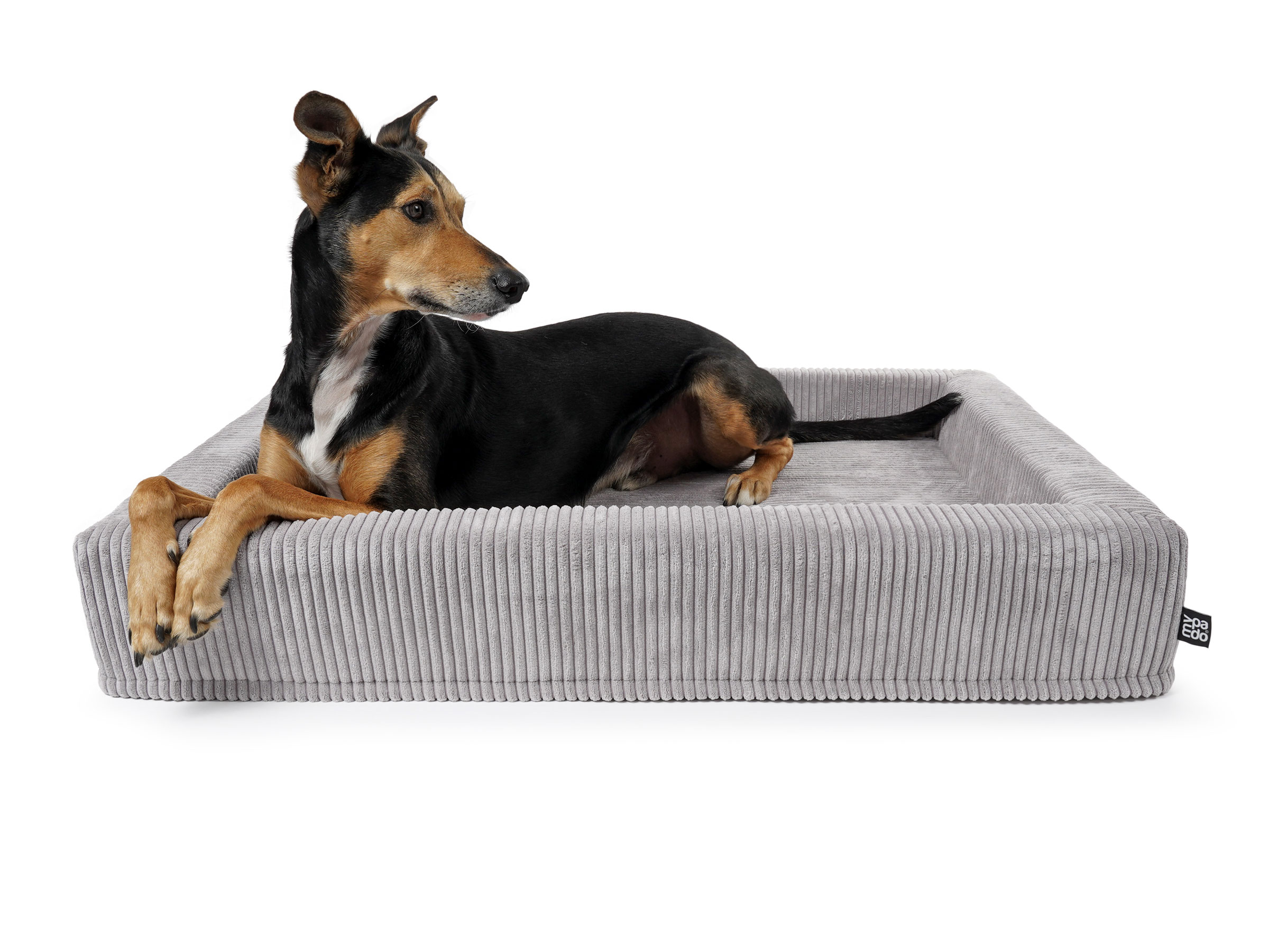 mypado Harko Cord Dog Bed