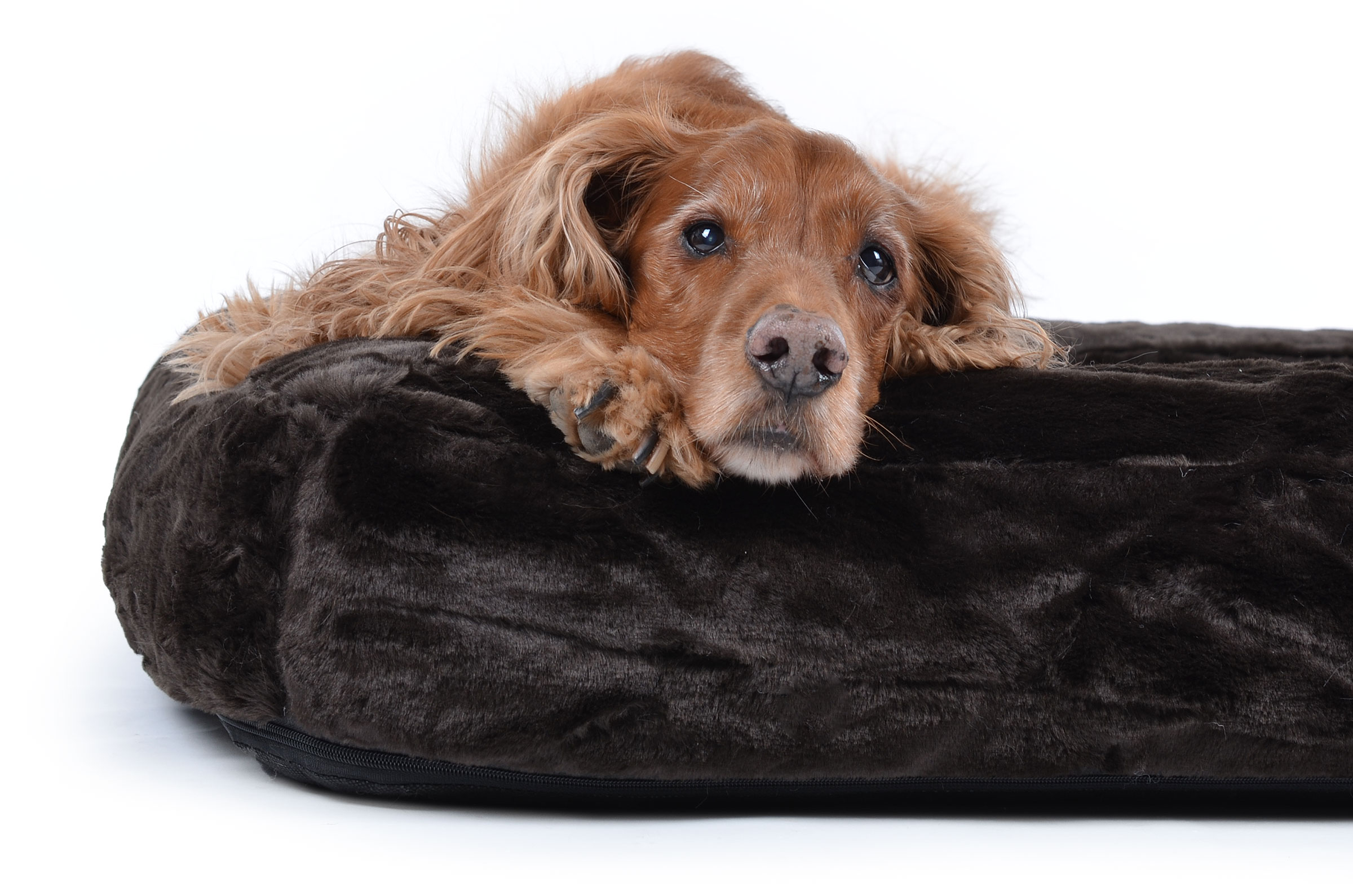 mypado Spring Fake Fur Hundebett