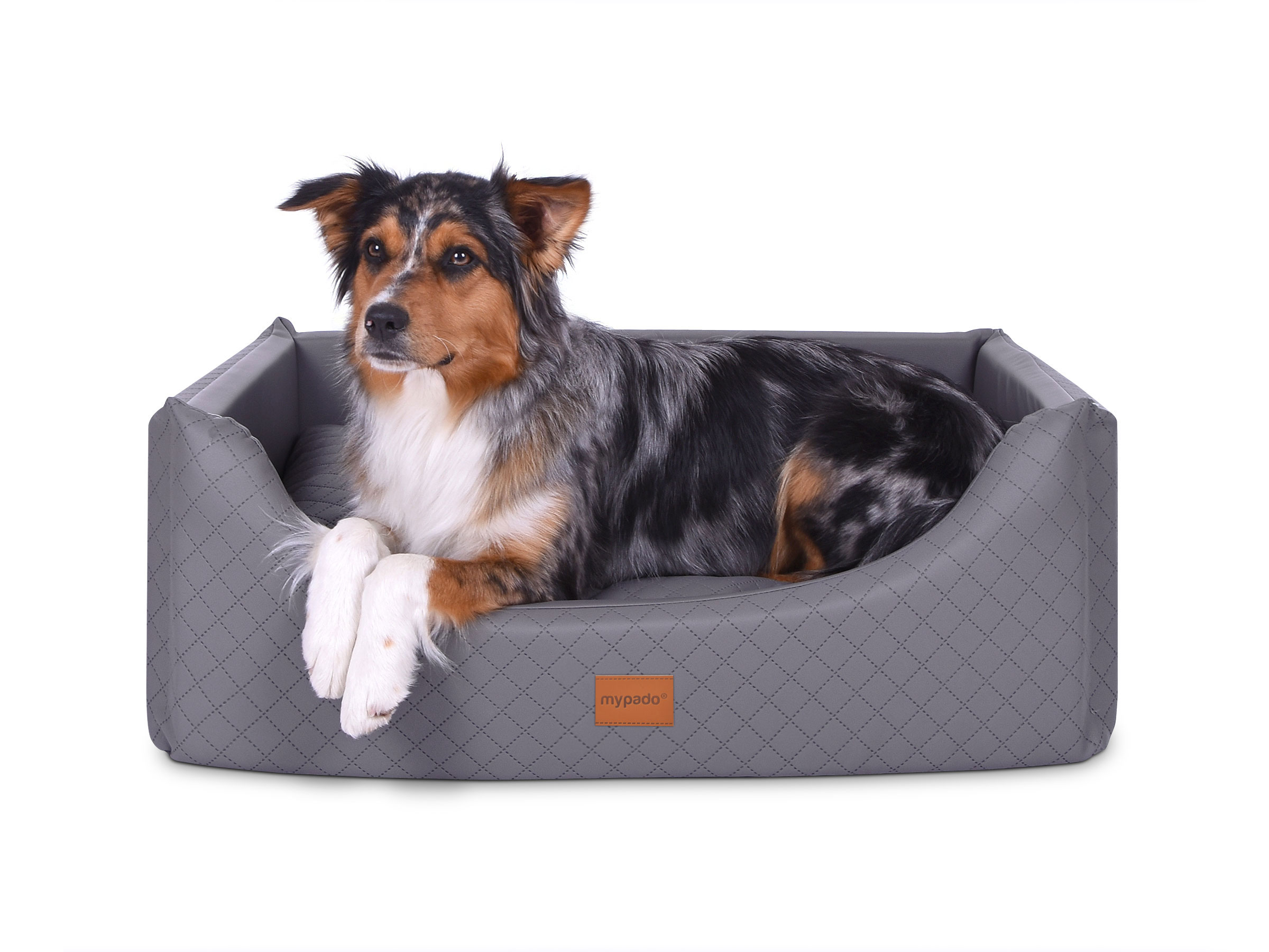 mypado Alma Faux Leather Dog Bed
