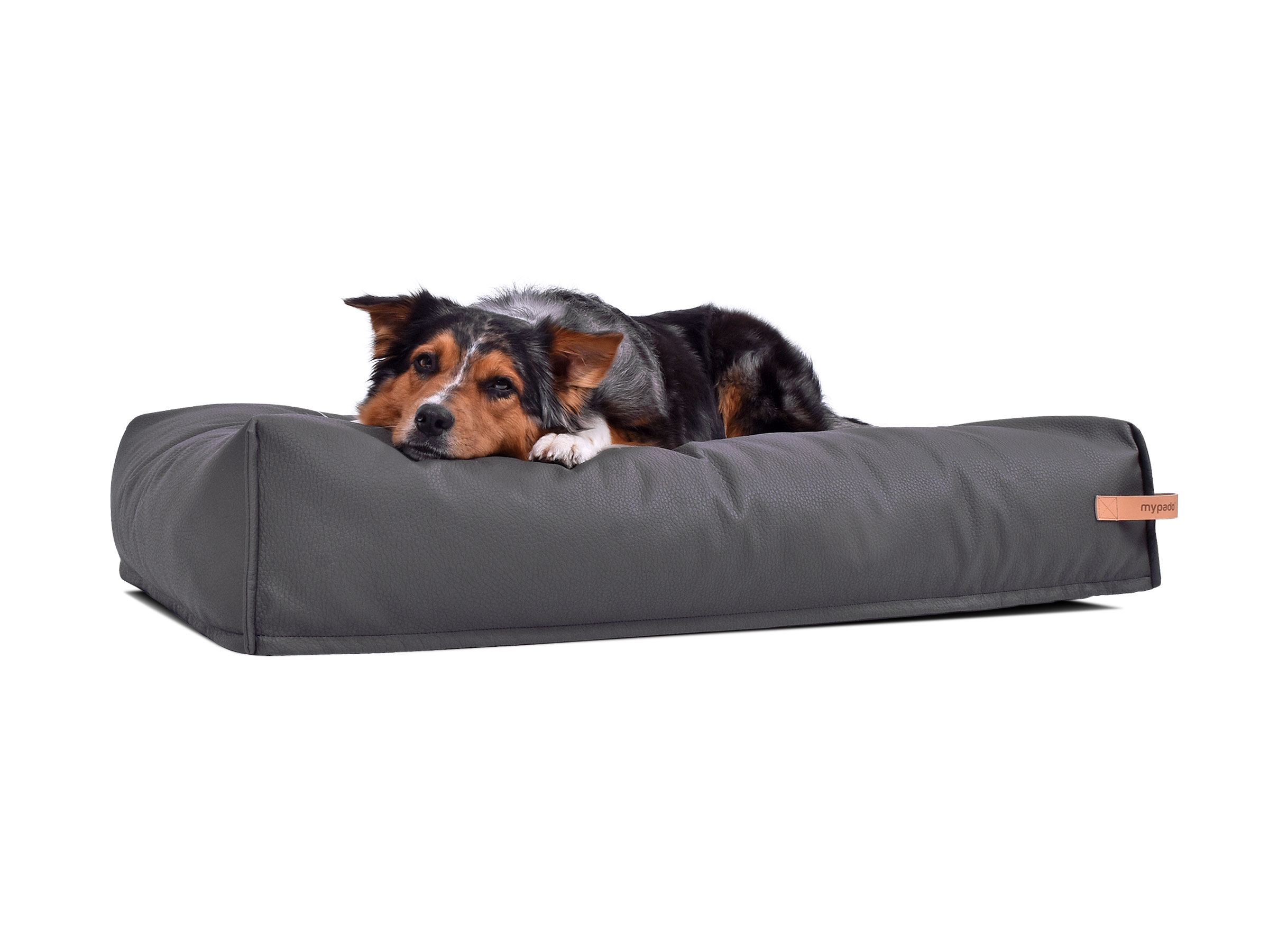 mypado Dute Faux Leather Premium Dog Cushion