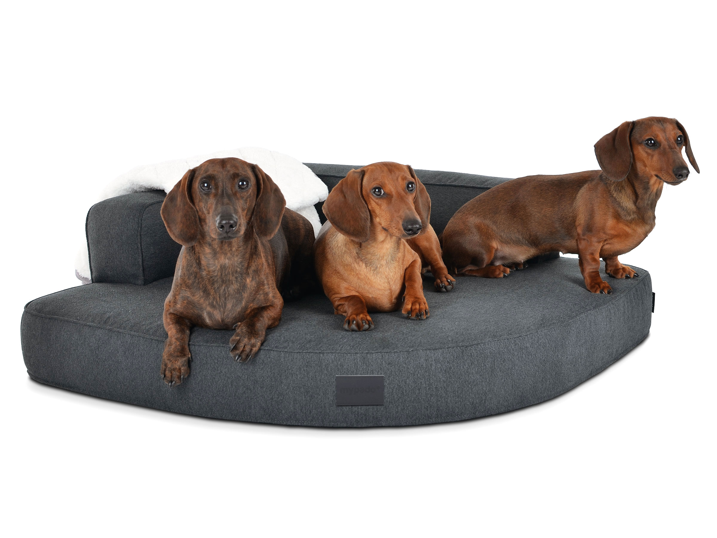 mypado Esquina Luxury Hundebett