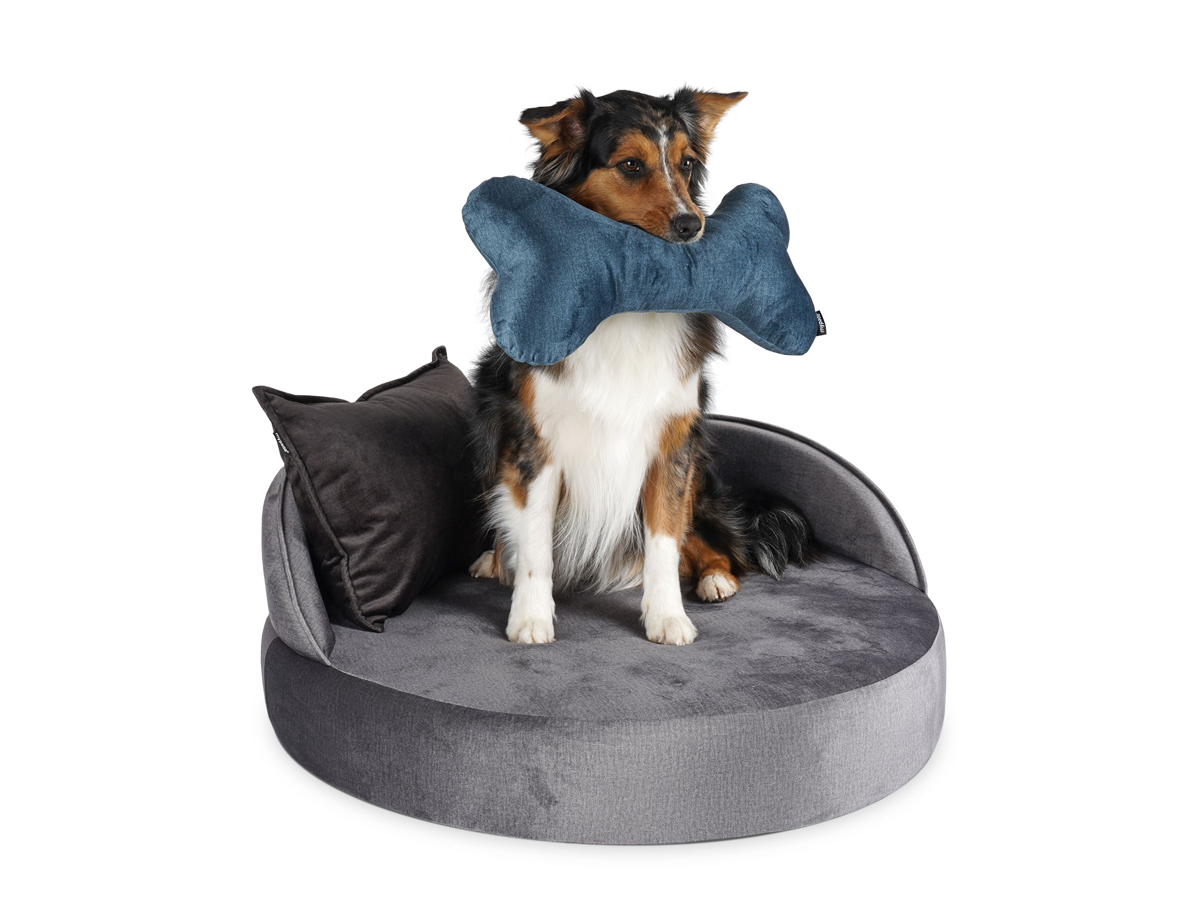 mypado Island Velvet Hundebett