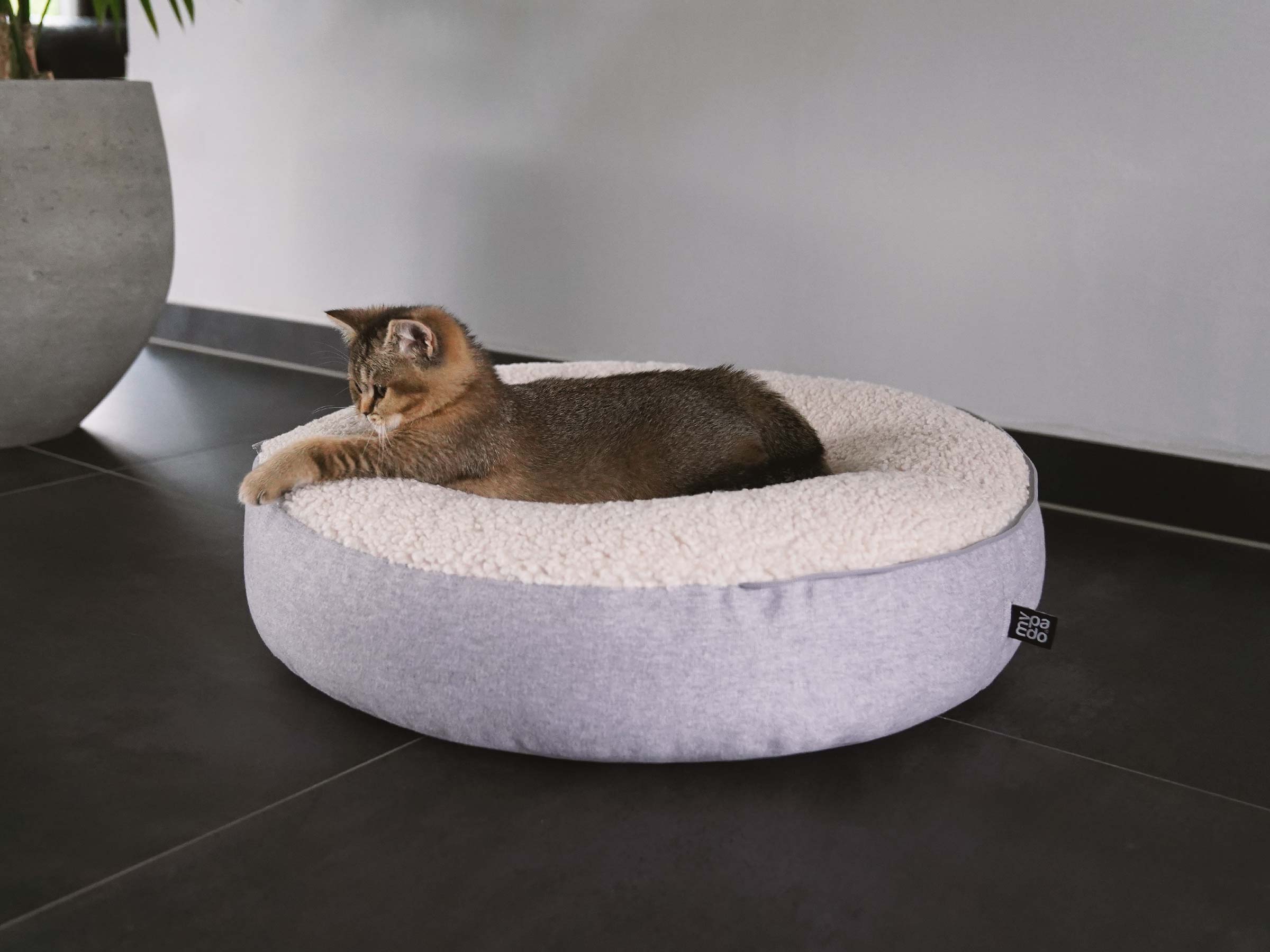 mypado Shell Silver Cat Cave