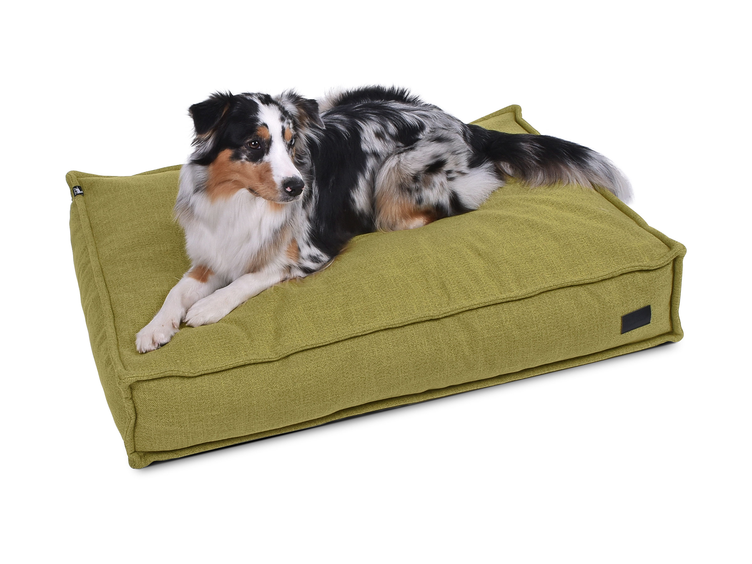 mypado Flow Structure Coussin pour chien