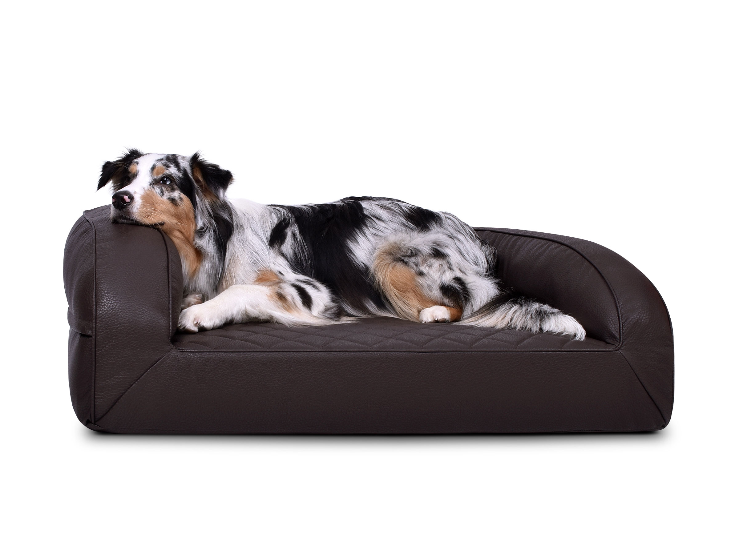 mypado Flo Faux Leather Premium Quilted Dog Bed