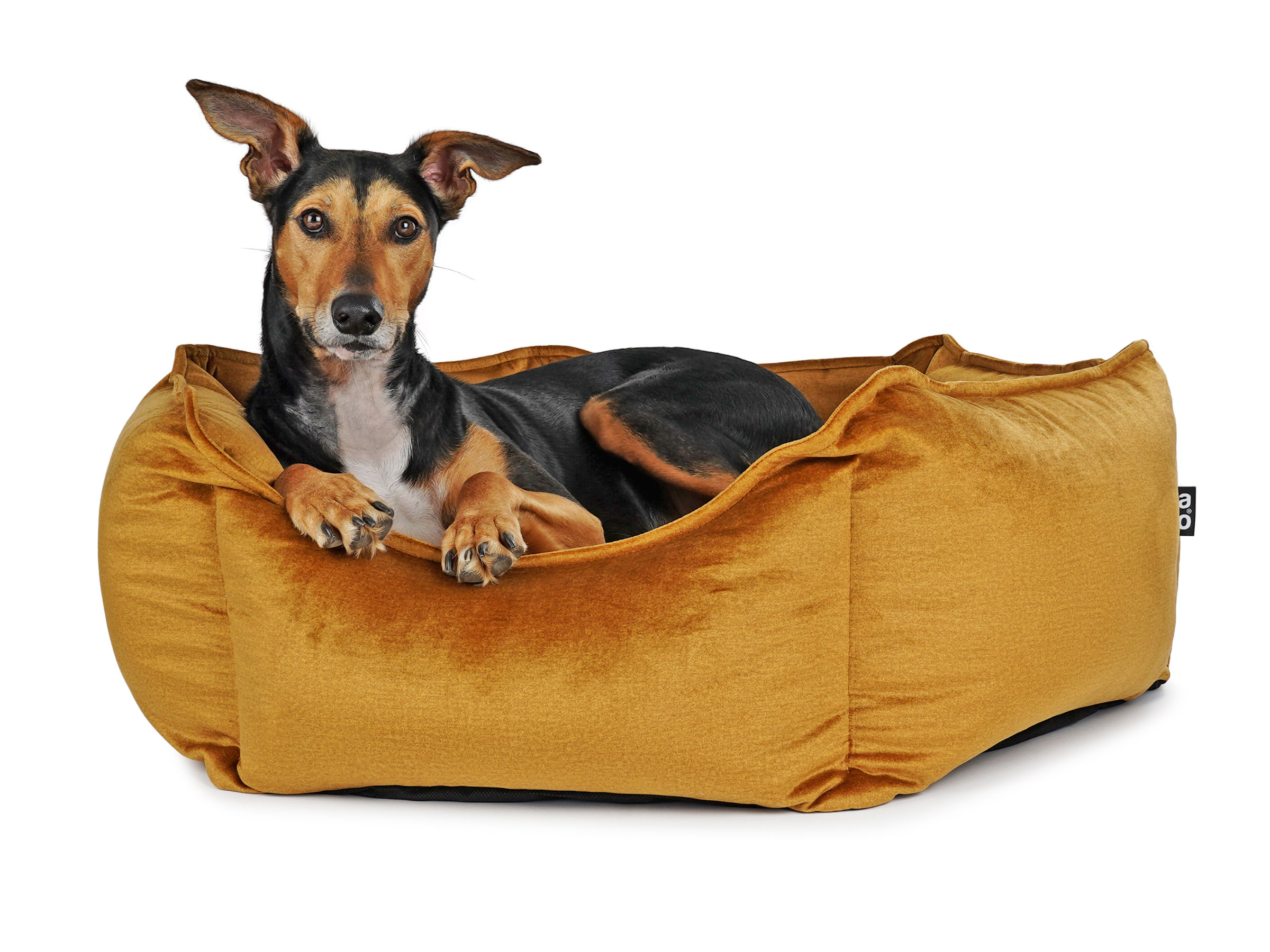 mypado Hexo Velvet Hundebett