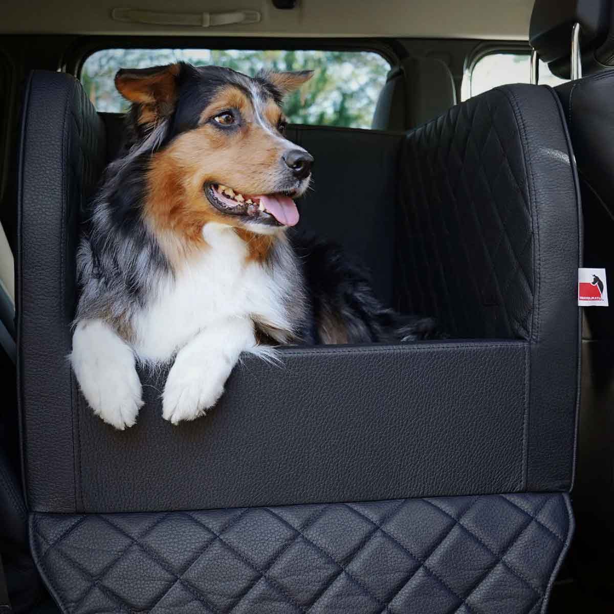 mpd_blg_dsgn_m_02_1200