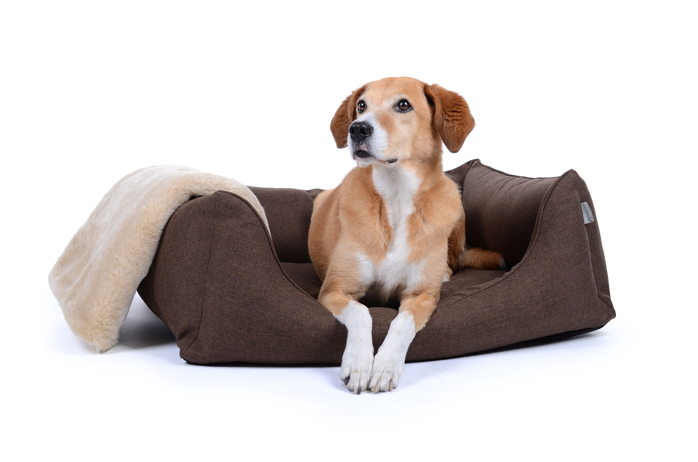 mypado World Soft Hundebett
