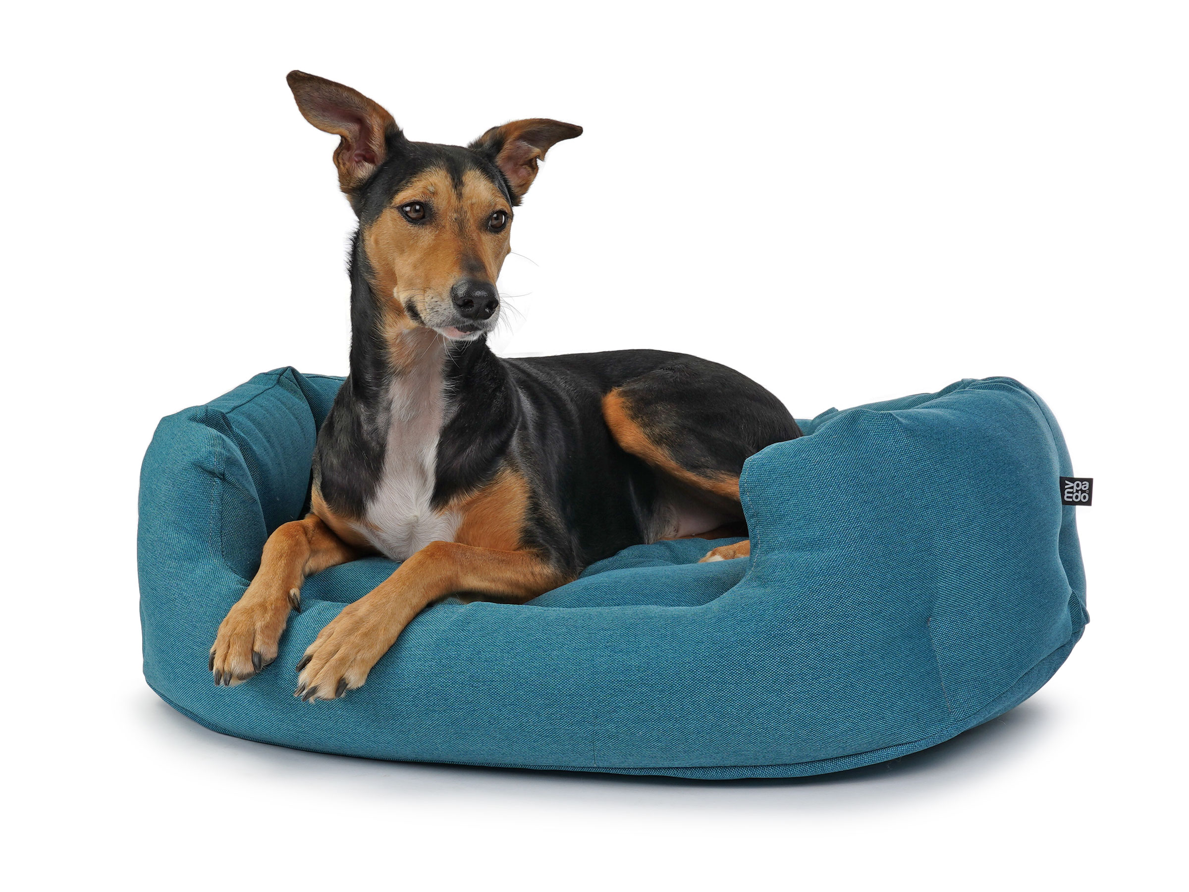 mypado Fancy Mono Dog Bed