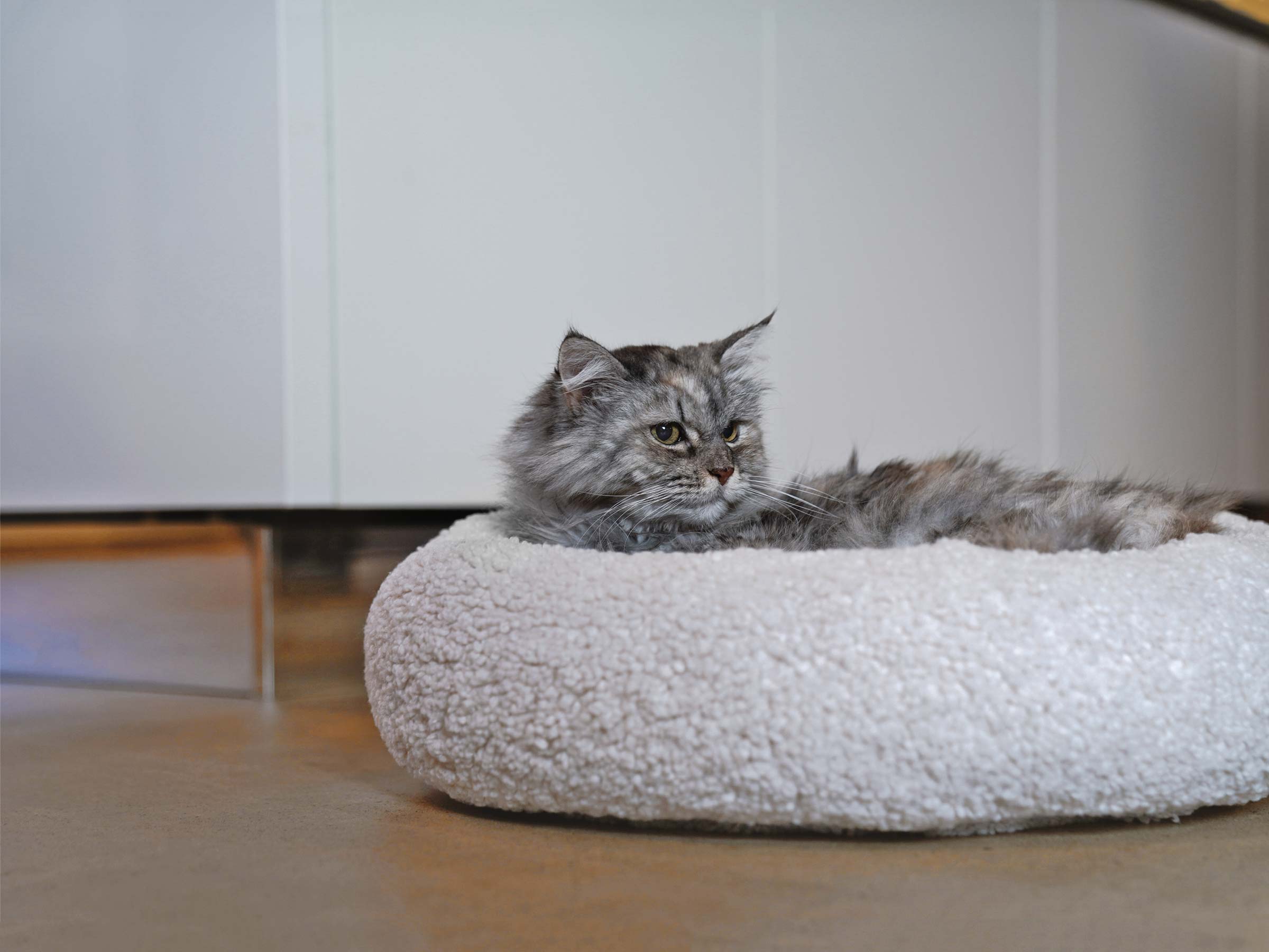 mypado Loop Woolly letto per gatti