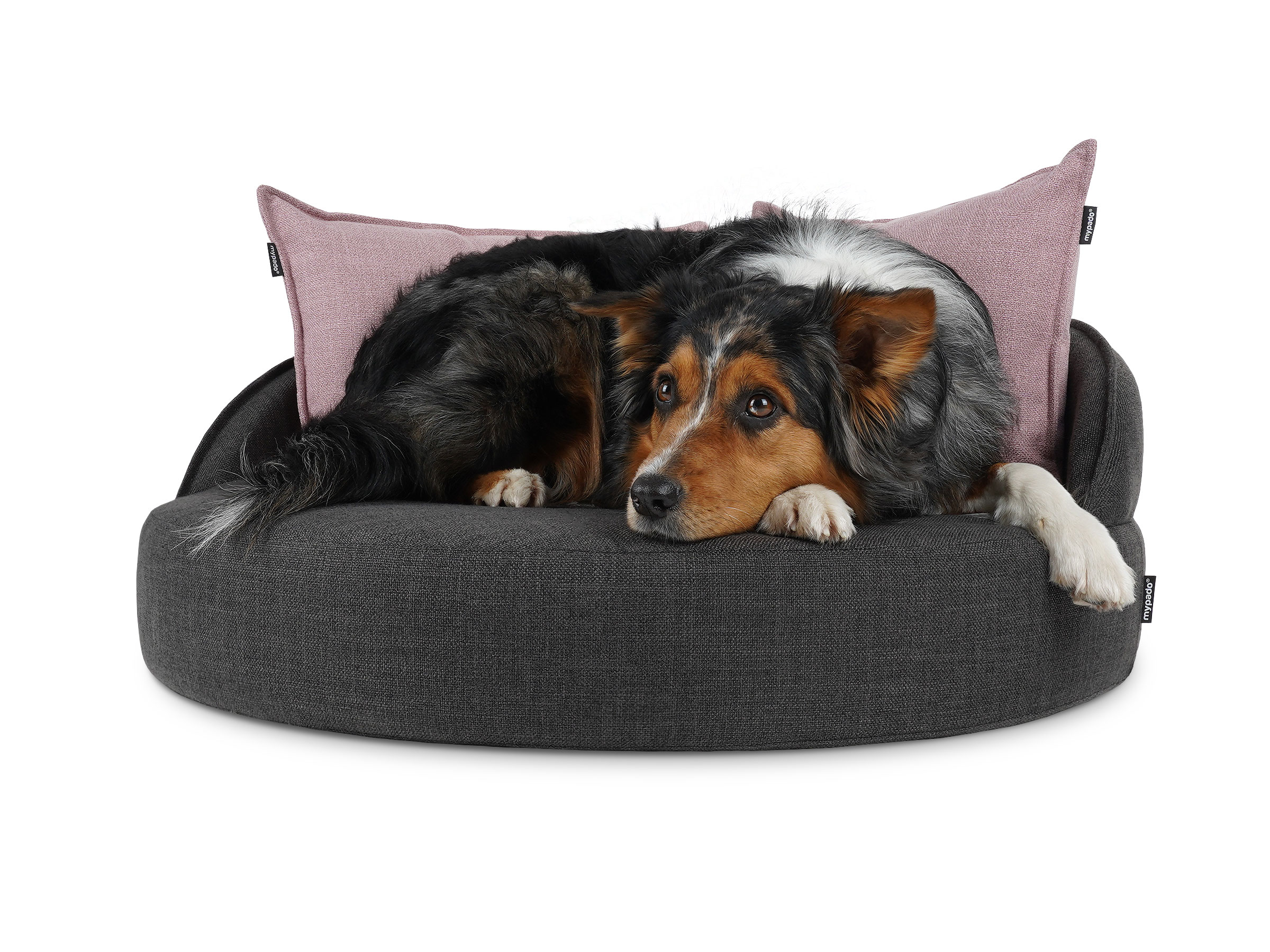 mypado Island Structure Hundebett