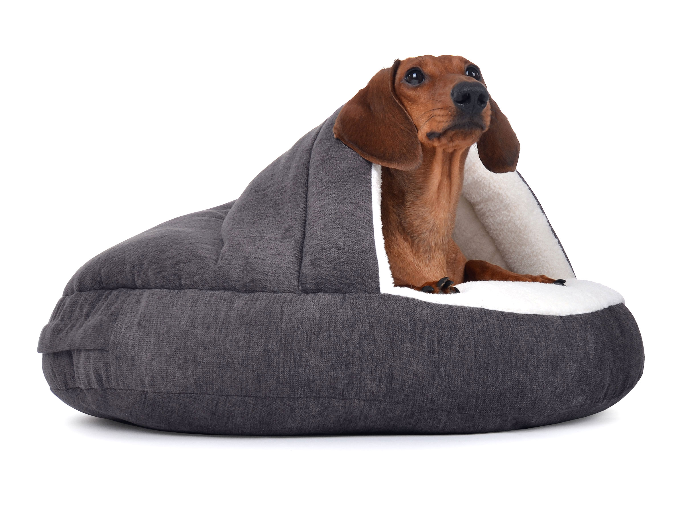 mypado Shell Comfort Dog Cave