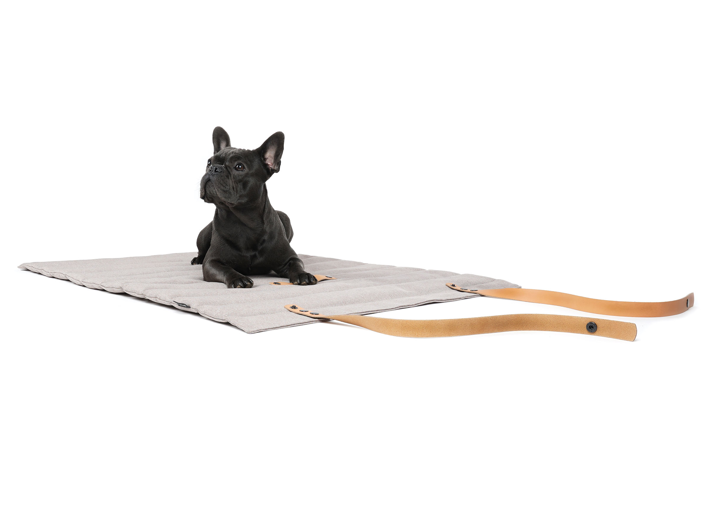 mypado Roll-up Stockholm Mono Hundematte