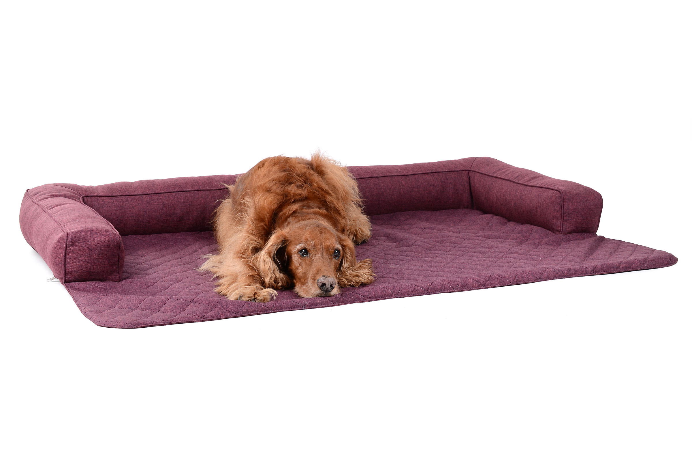 mypado Dakota Soft Hundedecke
