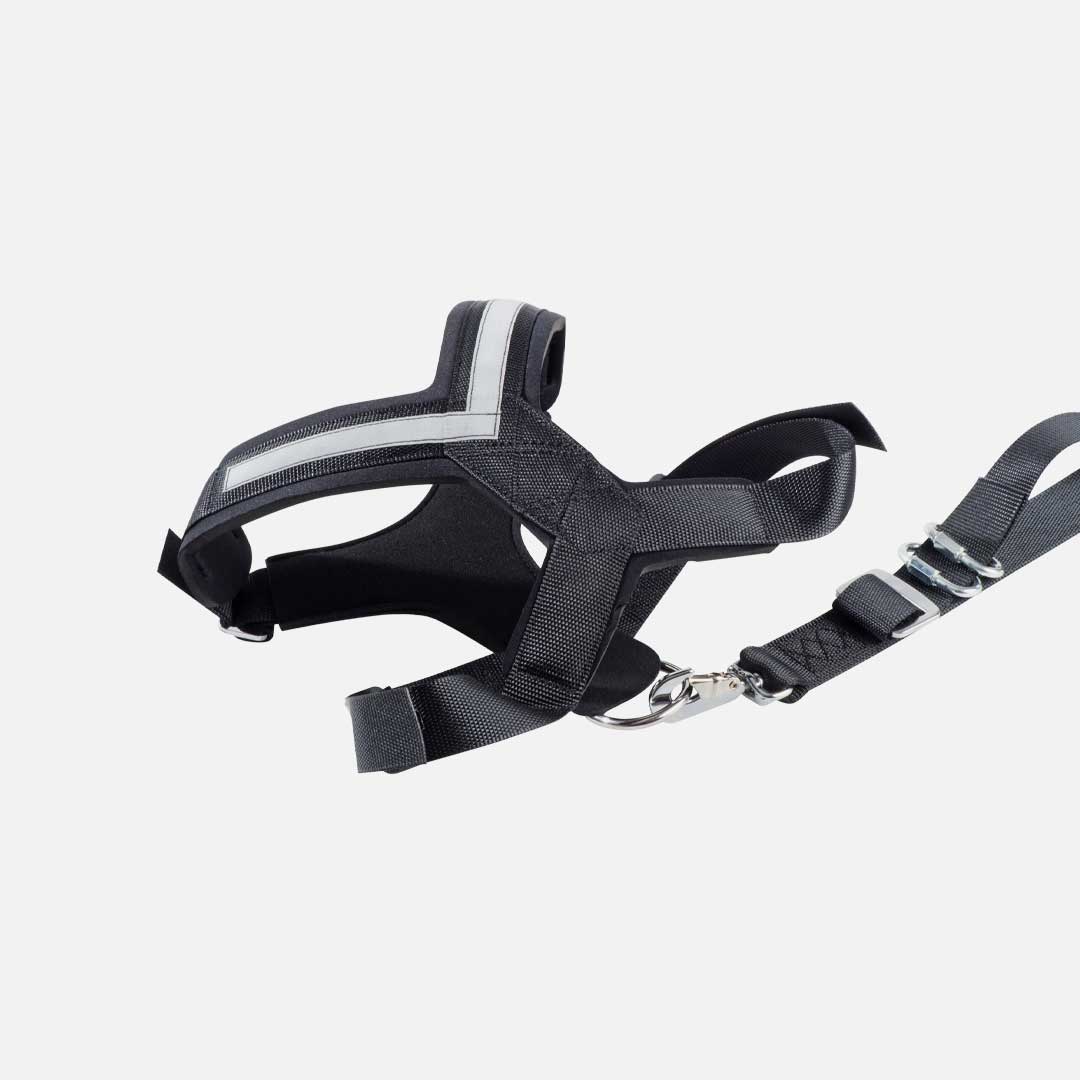 mpd_blg_dsgn_a01_1080