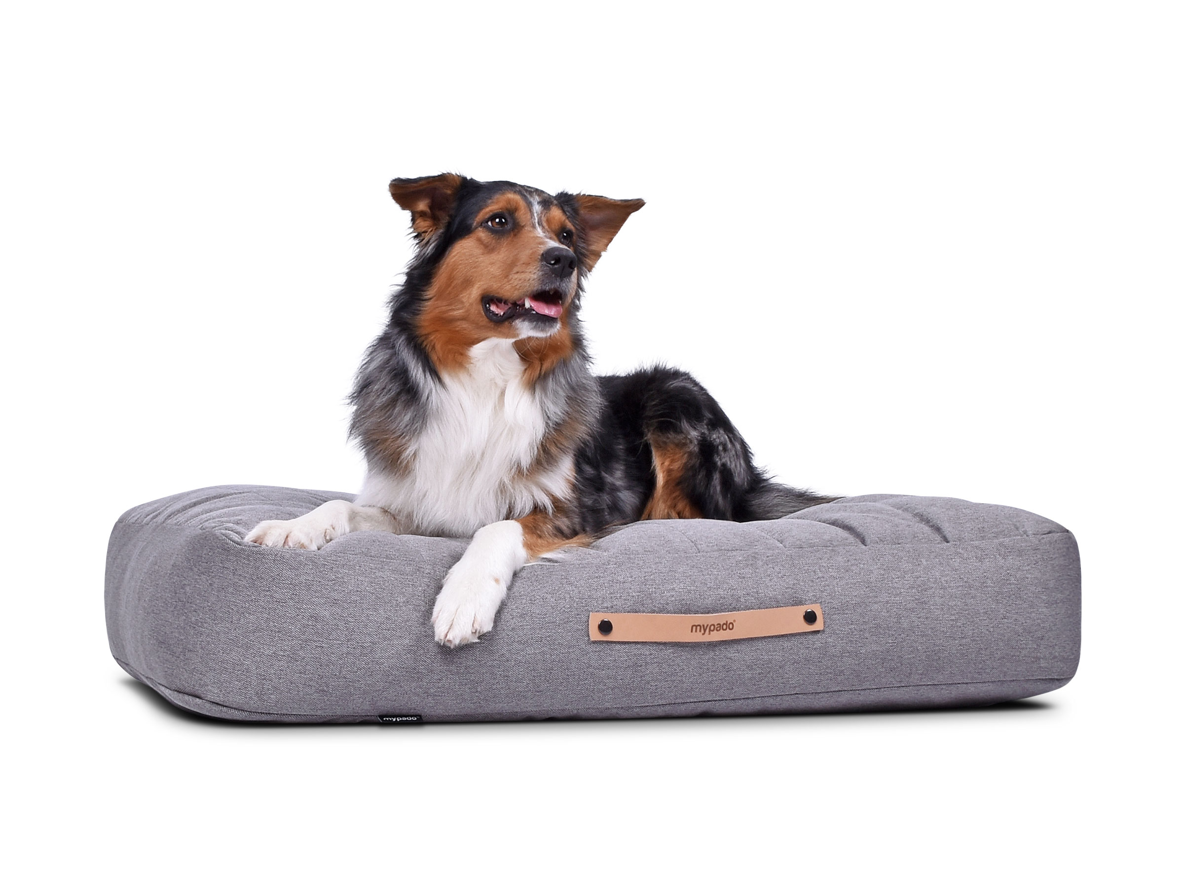 mypado Stockholm Mono Dog Cushion