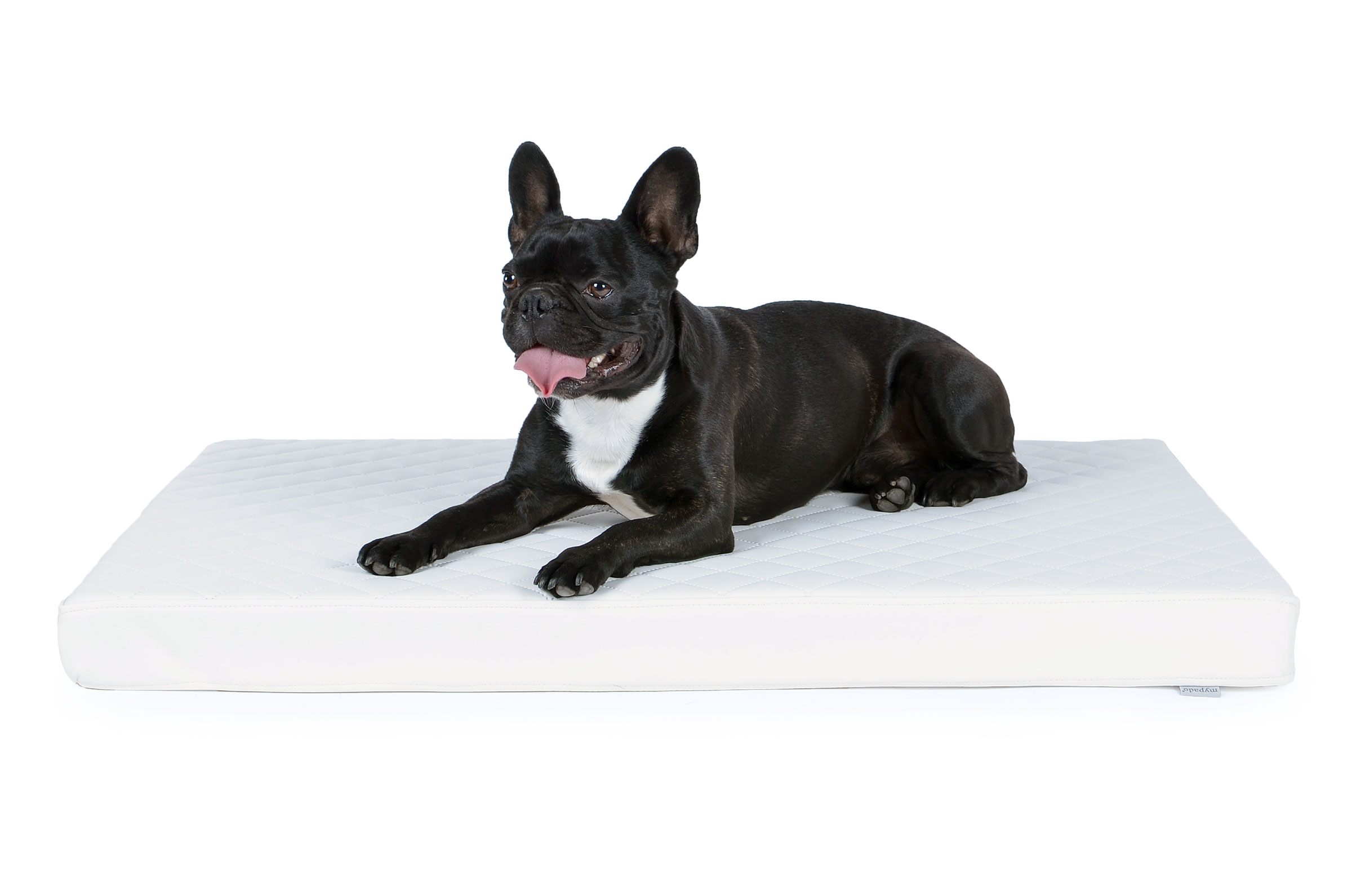 mypado Nuvola Faux Leather Quilted Dog Mat