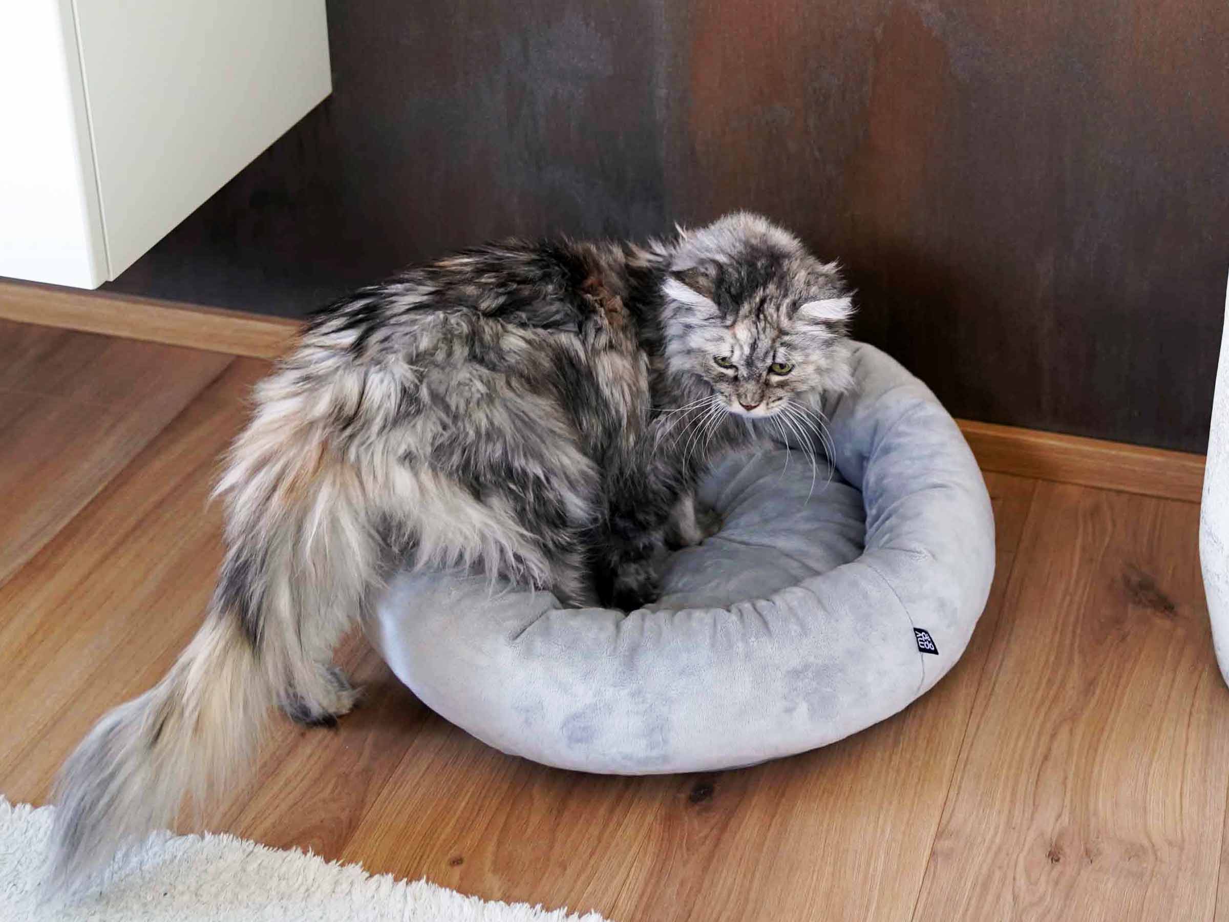 mypado Loop Plushblended Cat Bed
