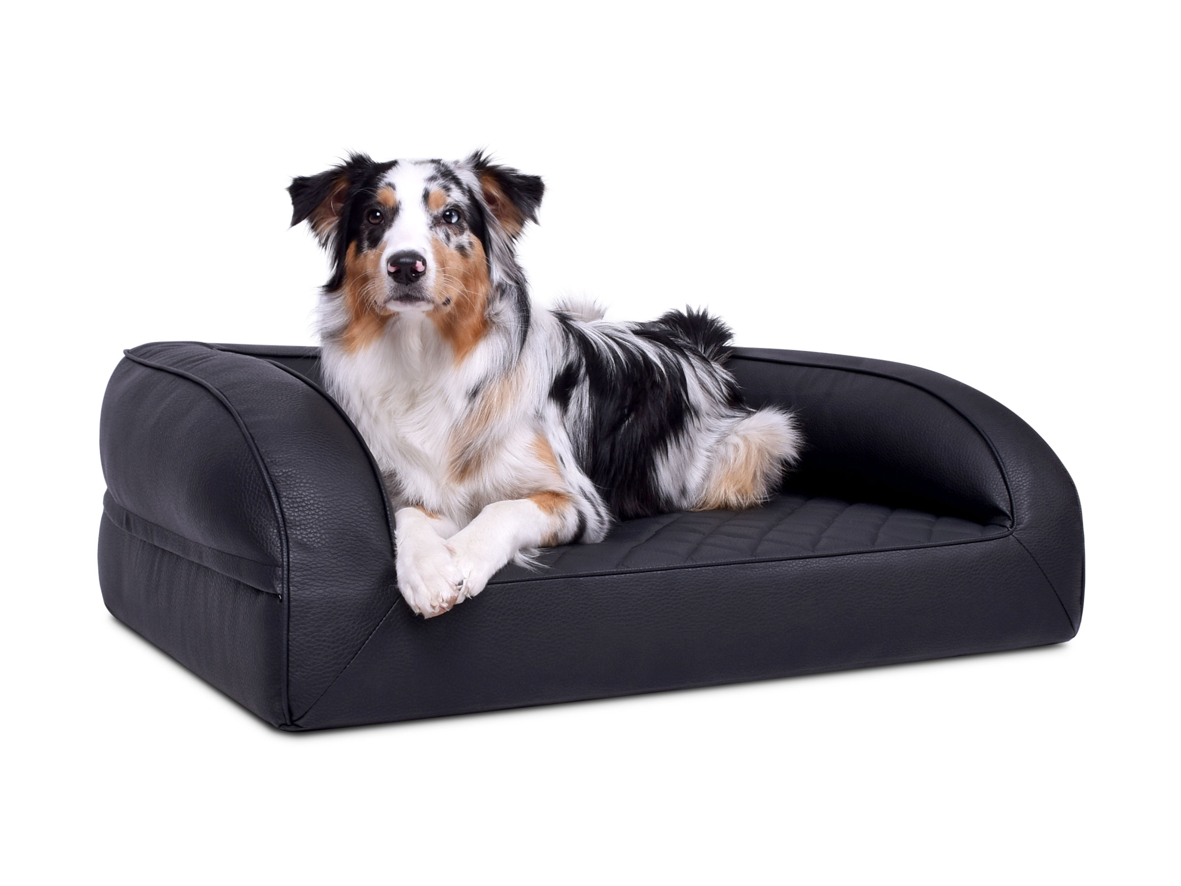 mypado Flo Faux Leather Premium Quilted Dog Bed