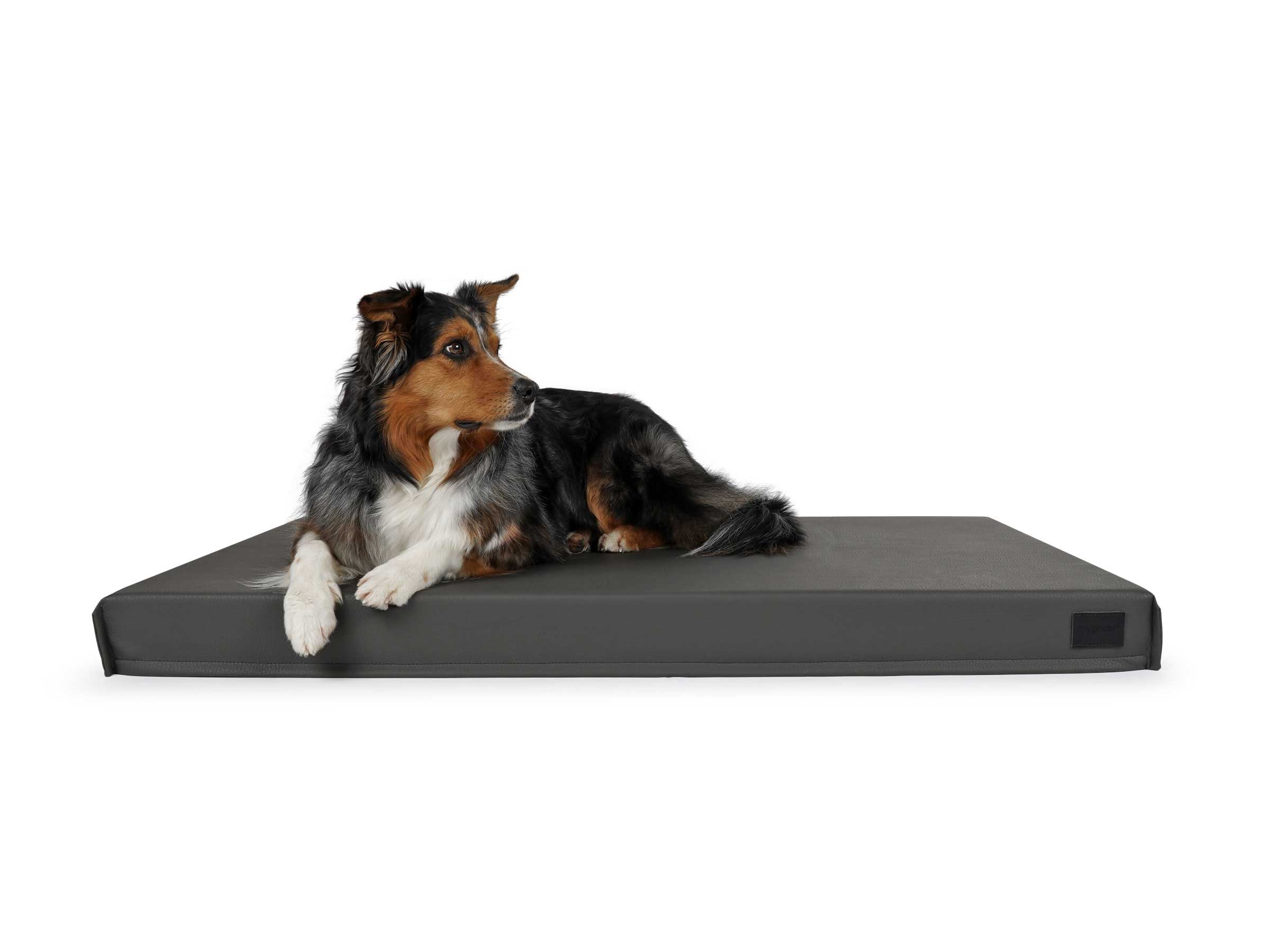 mypado Solana Faux Leather Premium Dog Mat