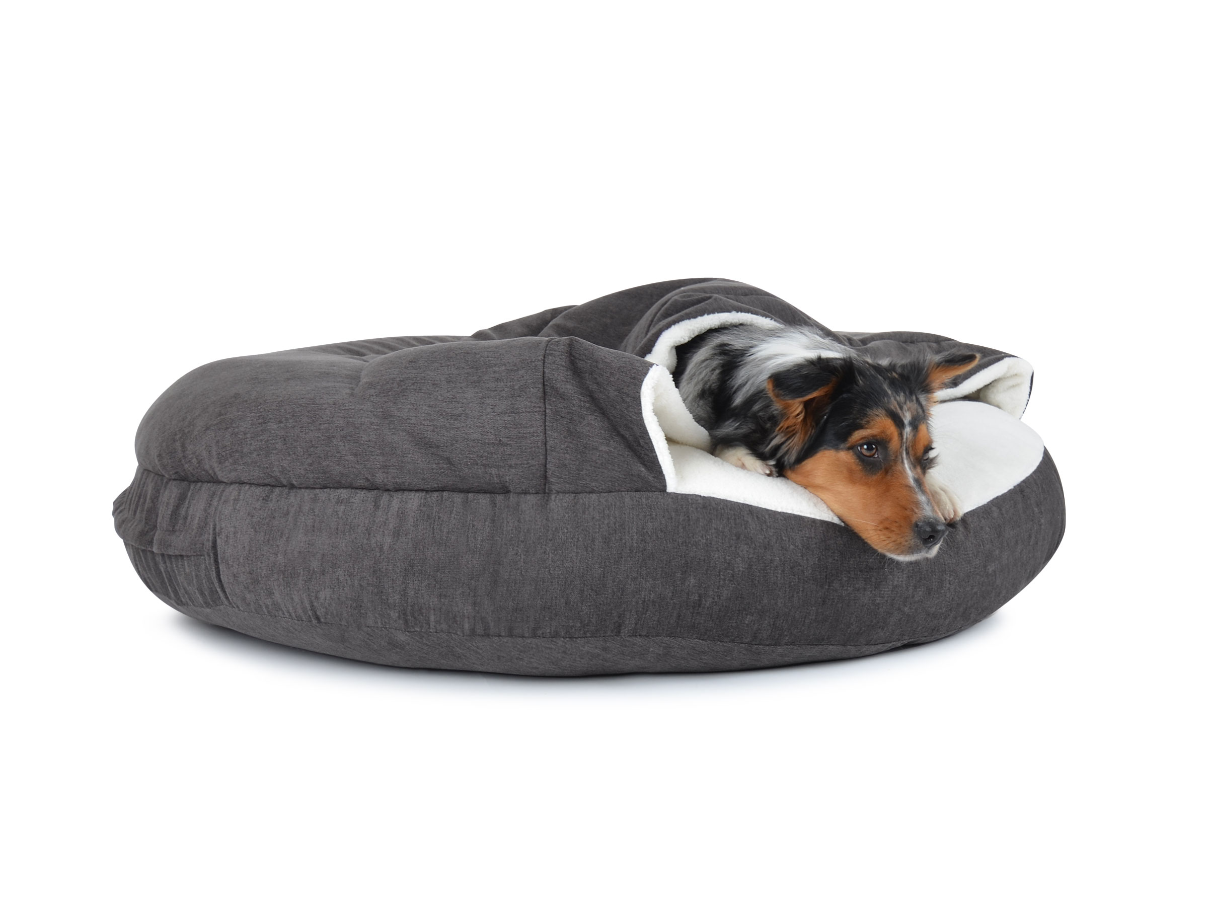 mypado Shell Comfort Dog Cave
