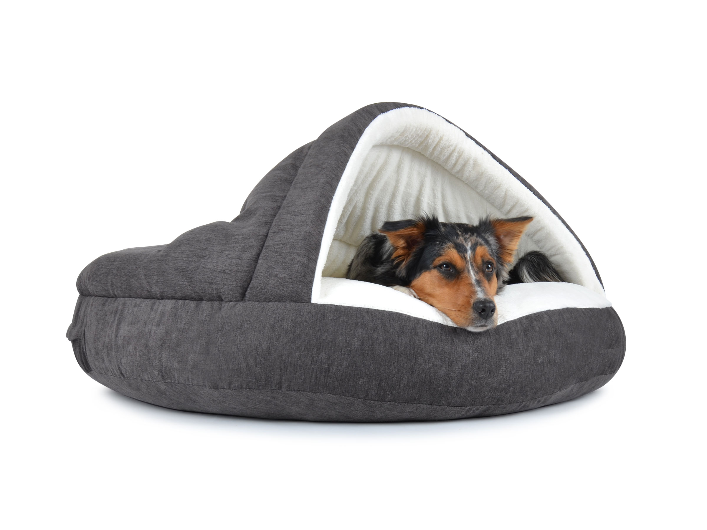 mypado Shell Comfort Dog Cave