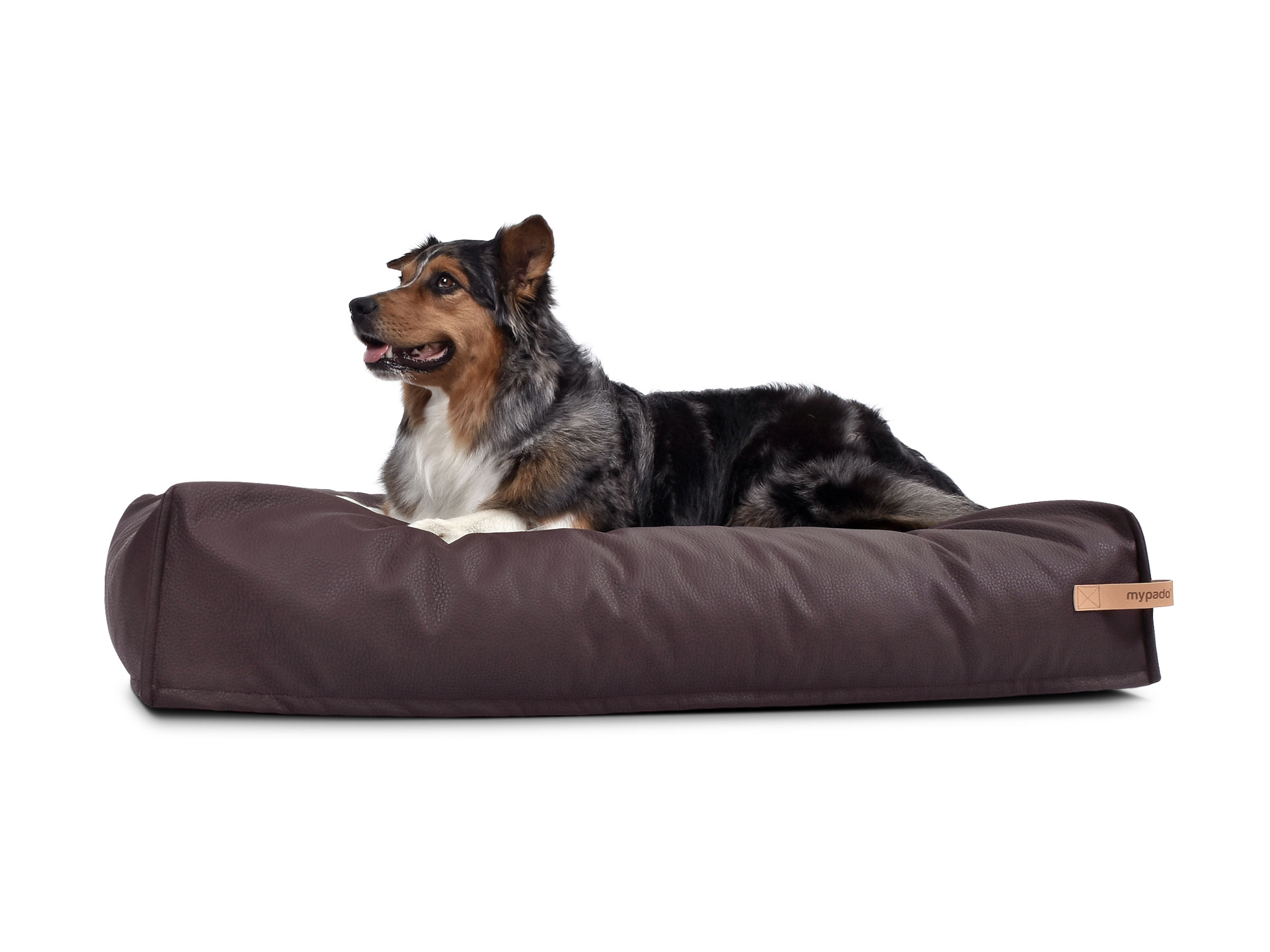 mypado Dute Faux Leather Premium Dog Cushion