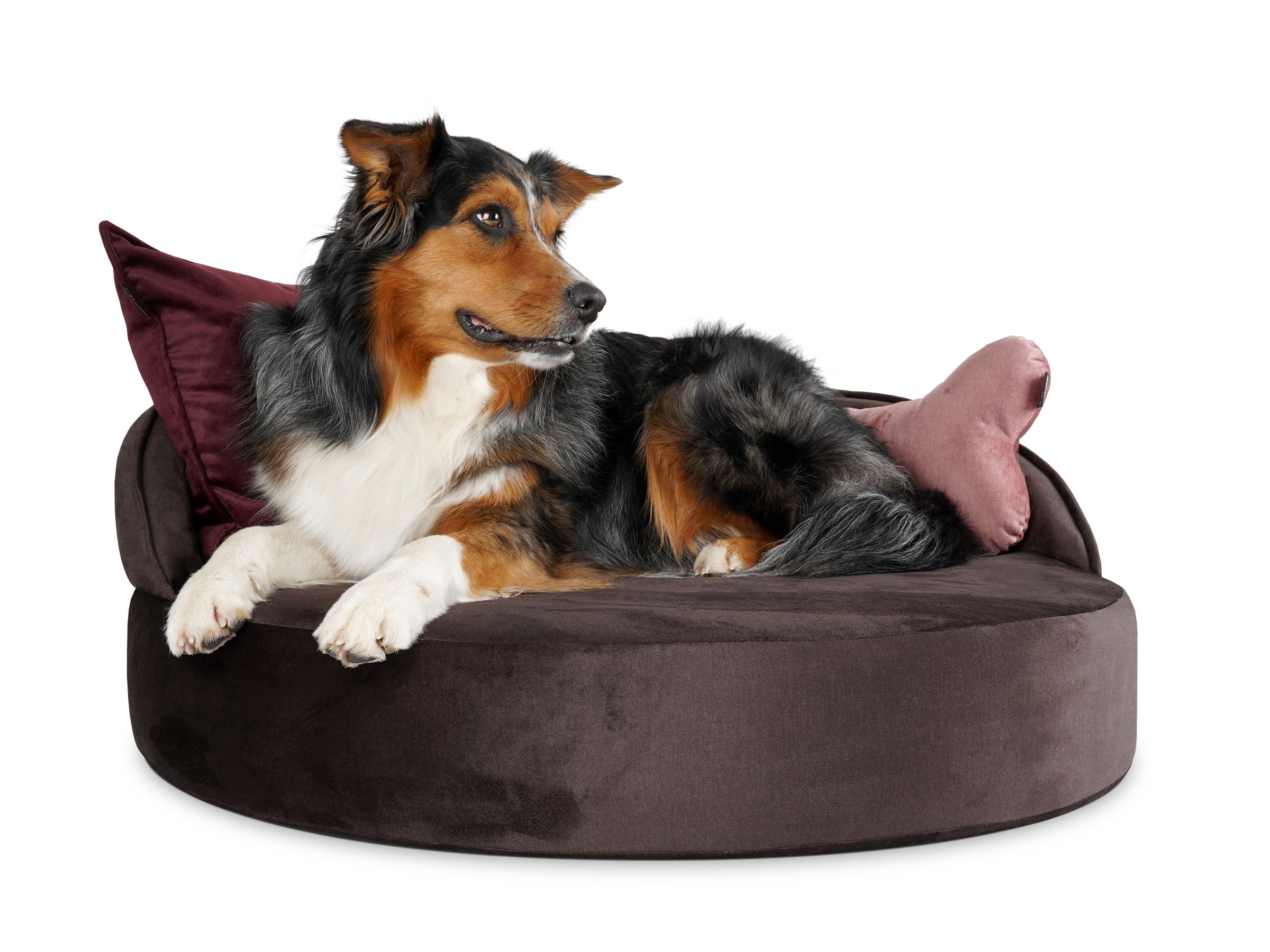 mypado Island Velvet Hundebett