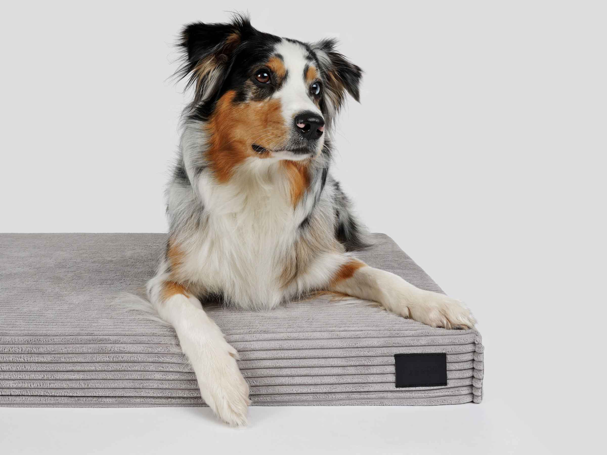 mypado Solana Cord Dog Mat
