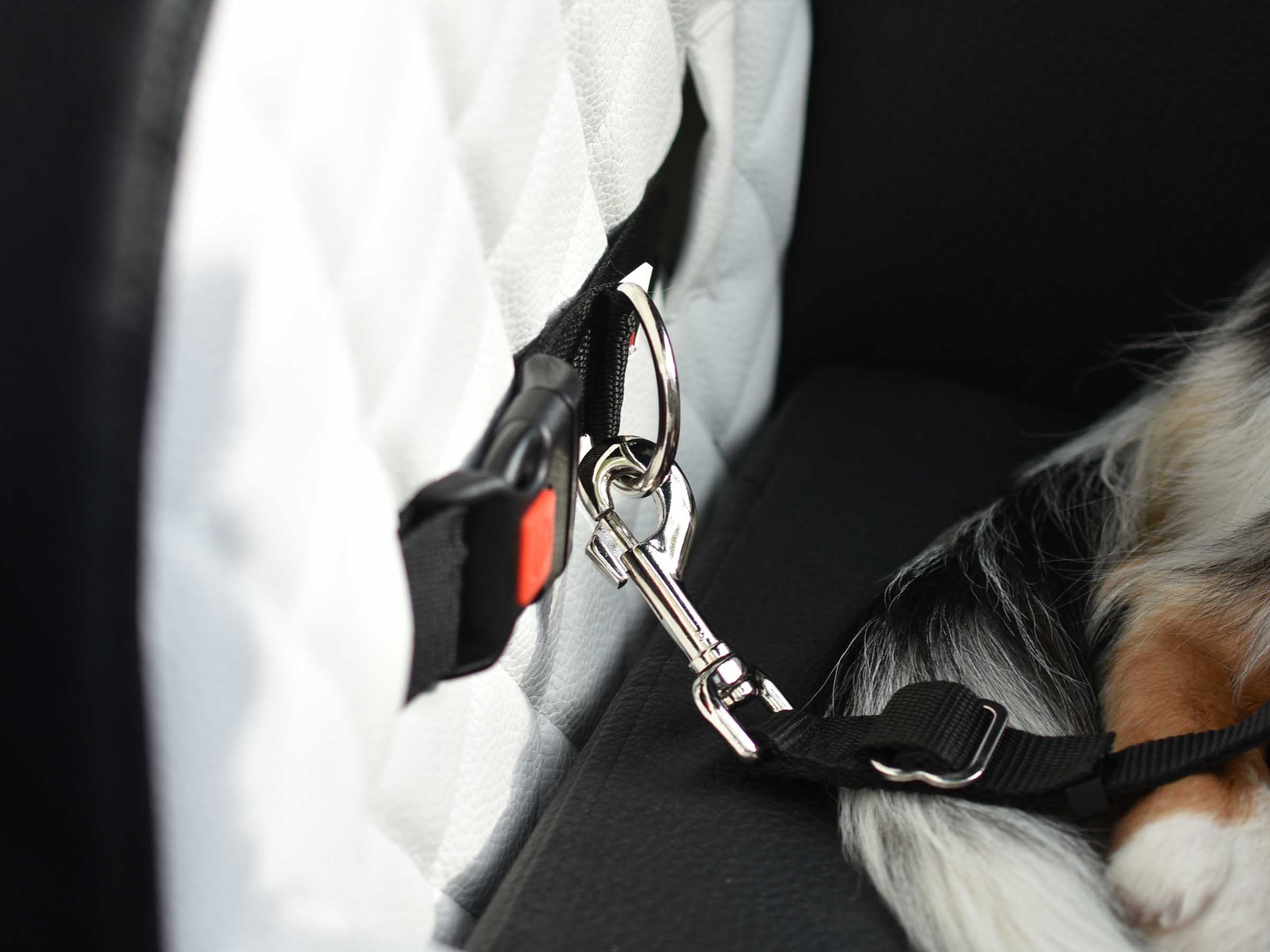 TRAVELMAT® RS Safety Harness