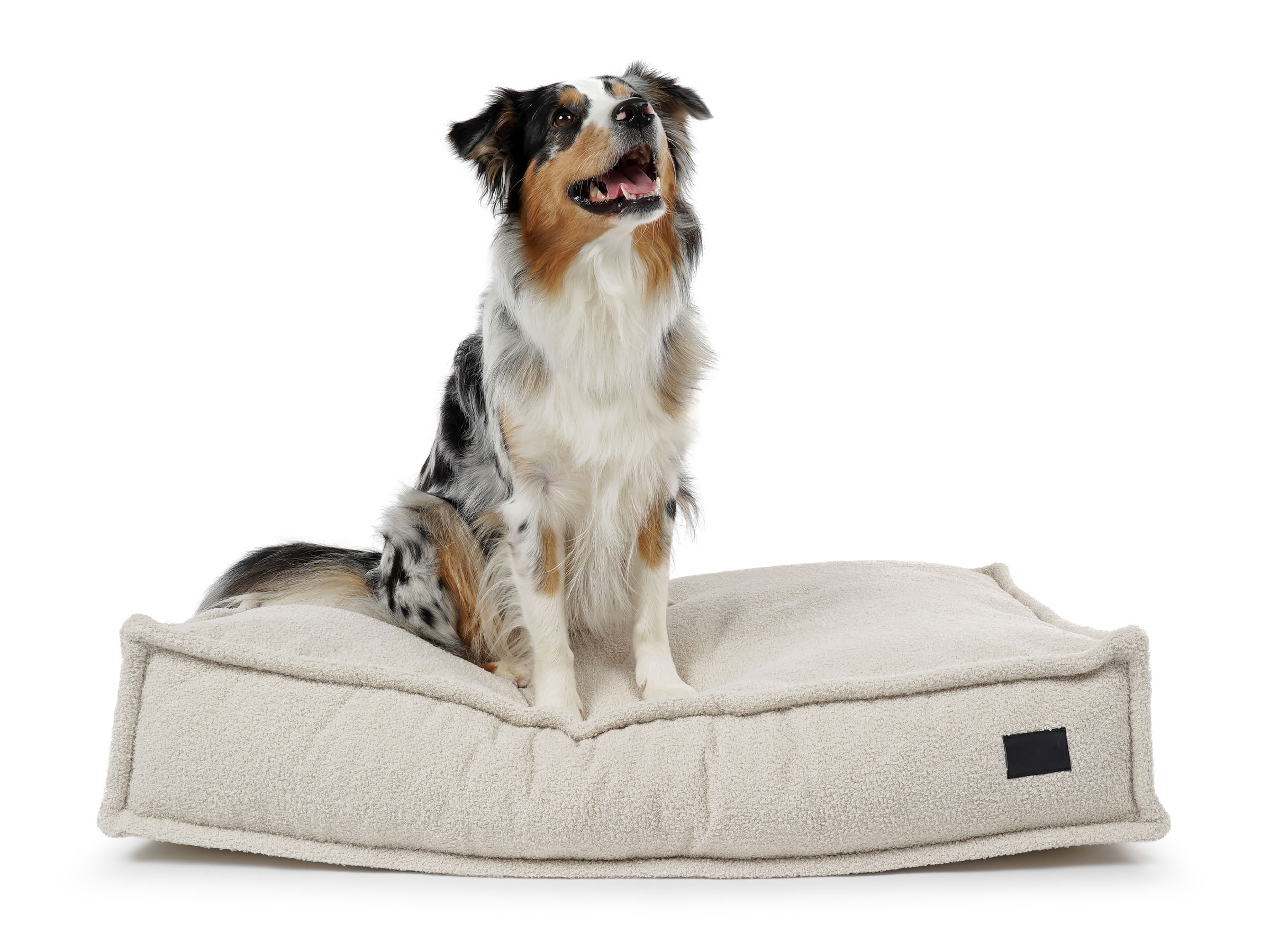 mypado Flow Teddy Dog Pillow
